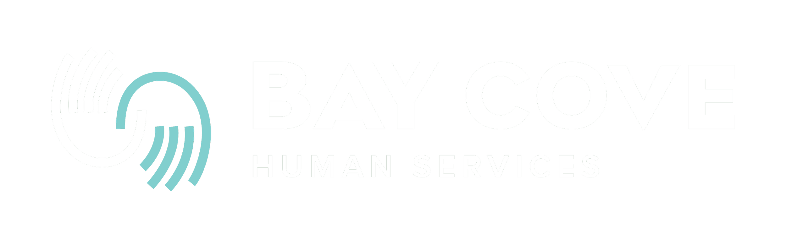Bay Cove Human Services