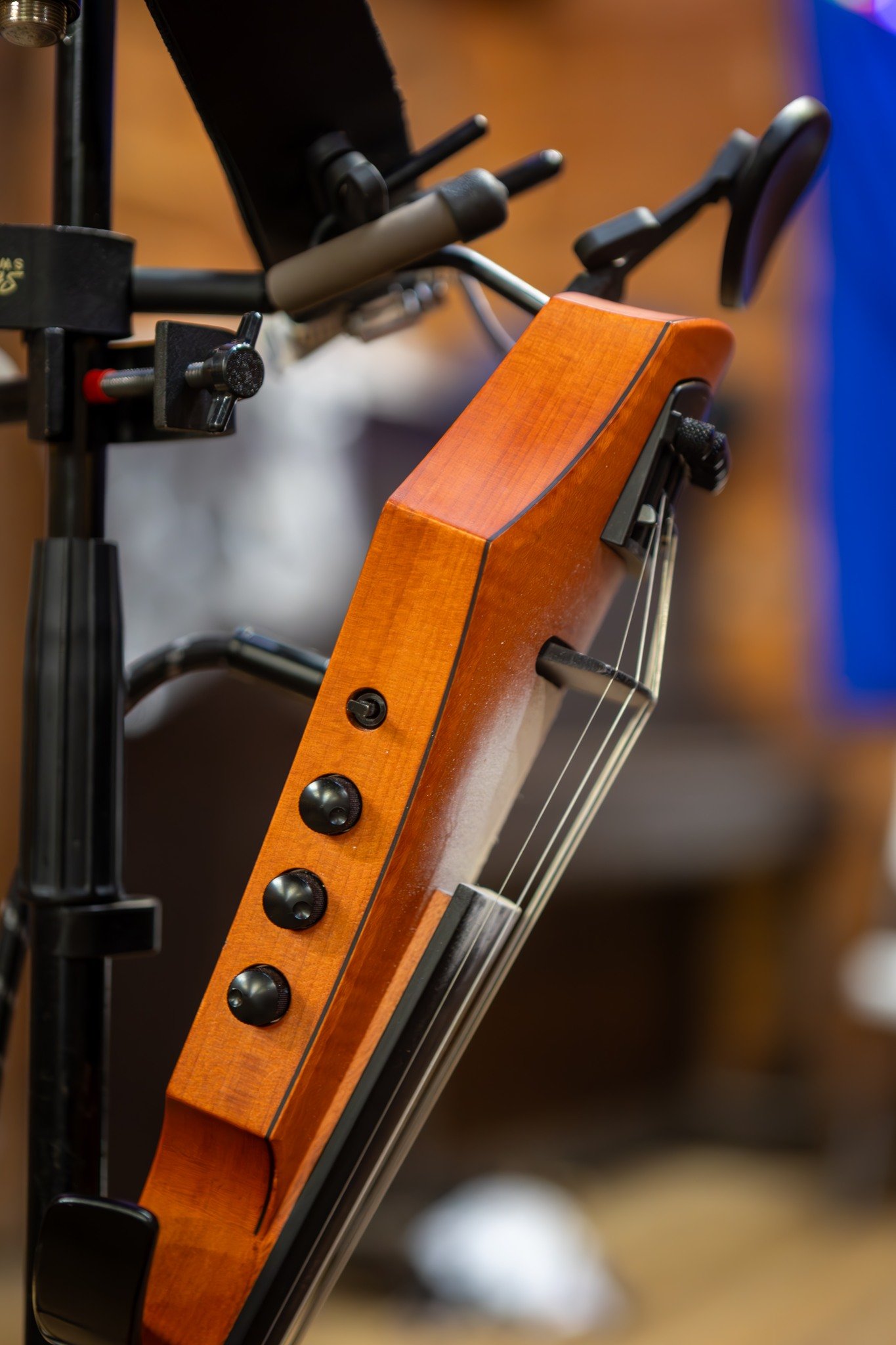 Whirl2024-Tom fiddle.jpg