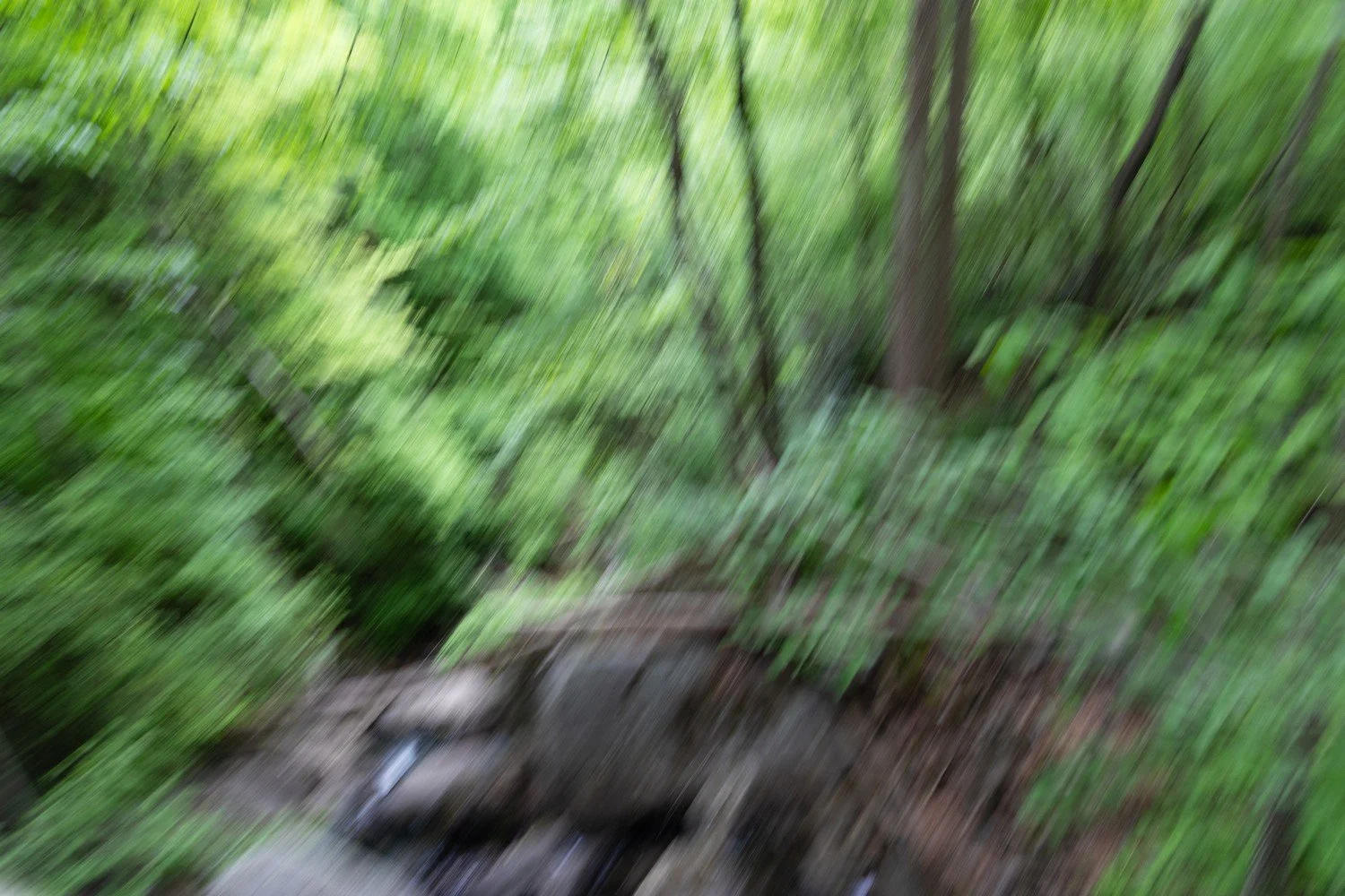 WHIRL20260502_HP8A9677.jpg