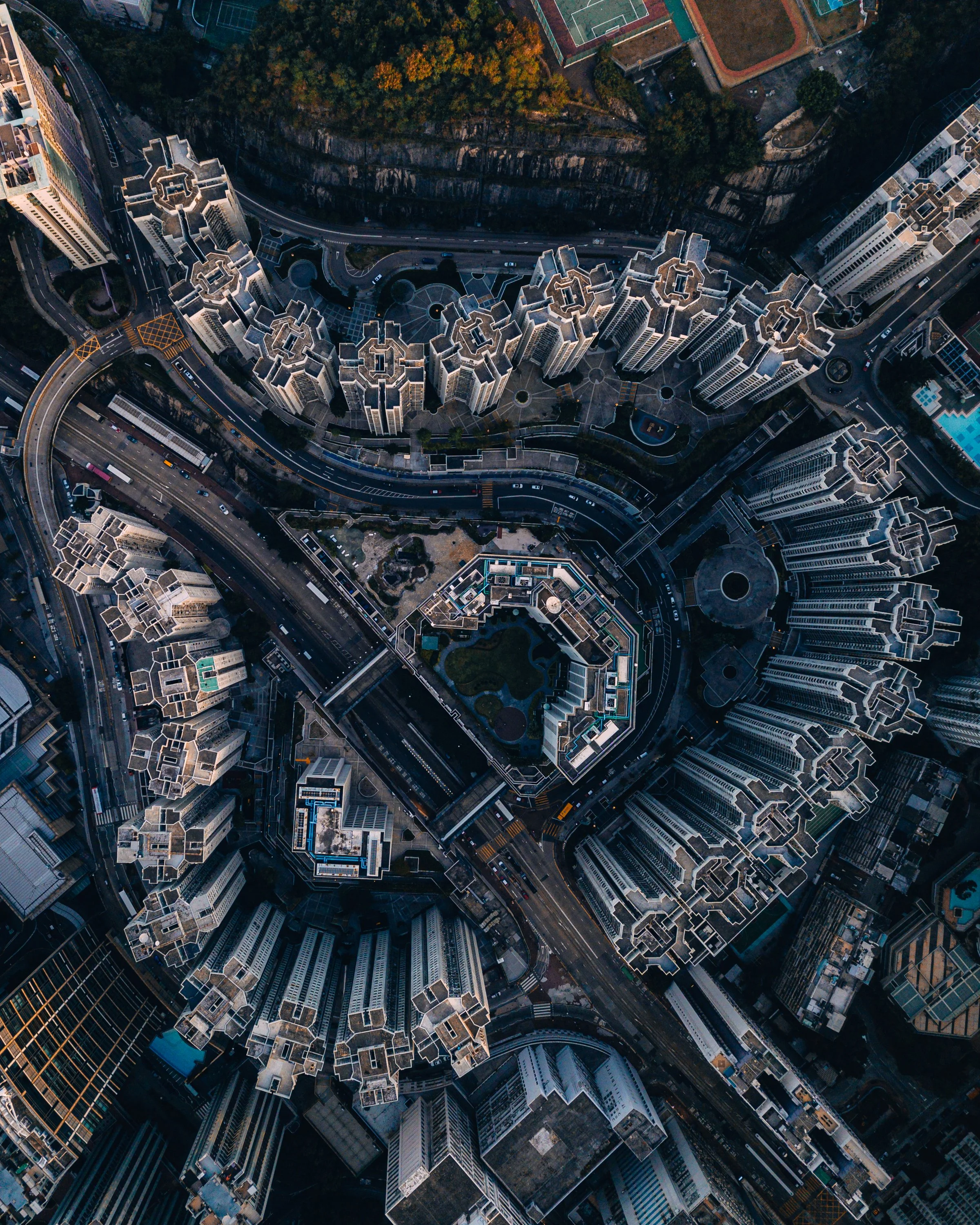 The Shark Face - Hong Kong