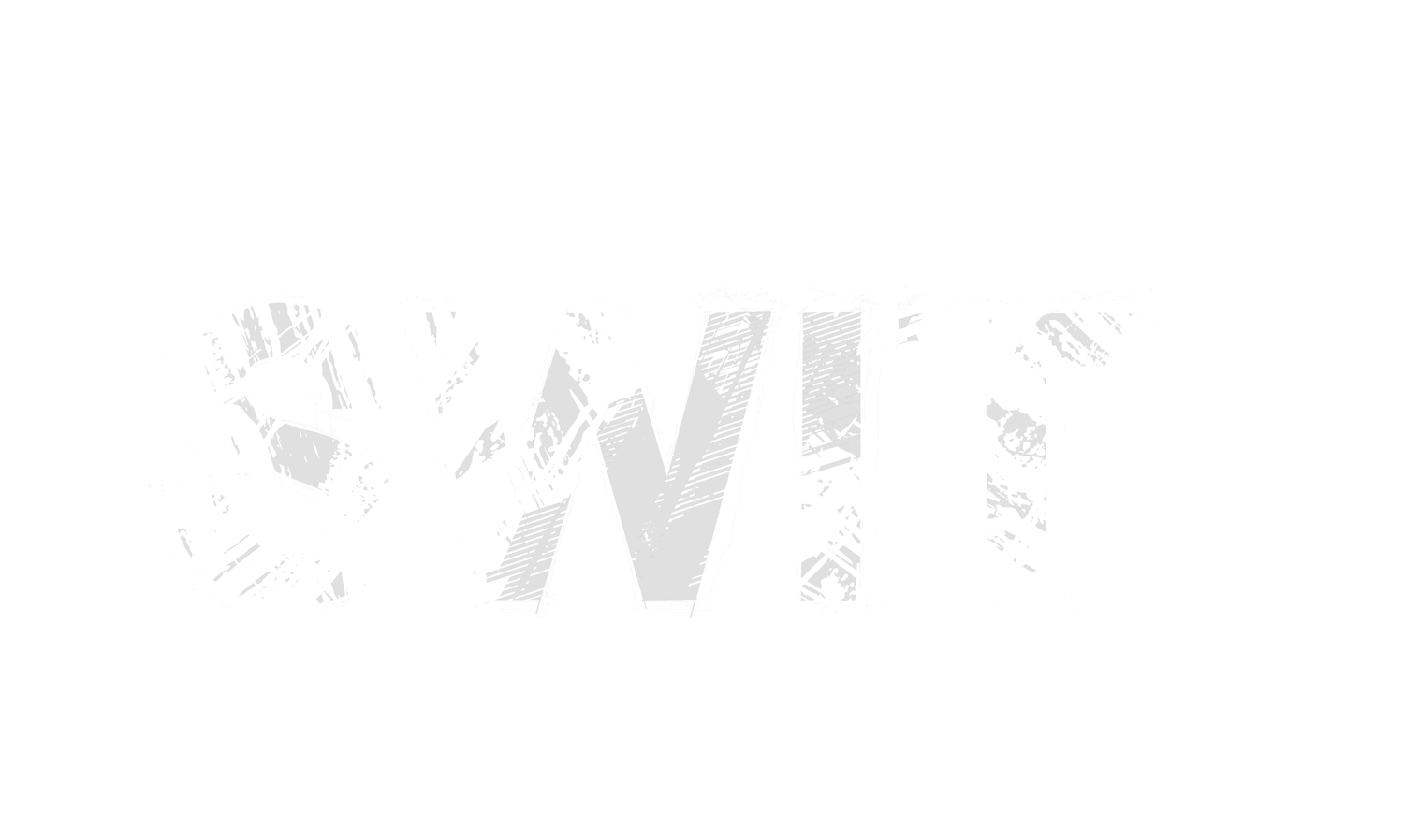 SWIT SPORT