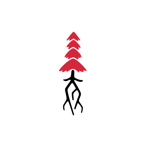 Rooted - Single Registration by PayPal