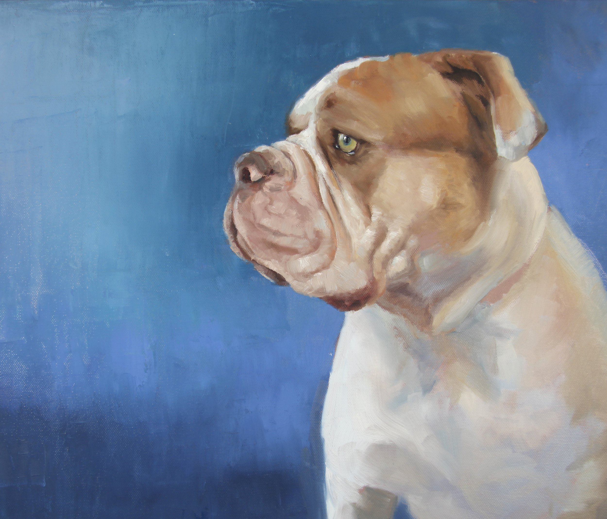 melissa_dog_cropped.jpg