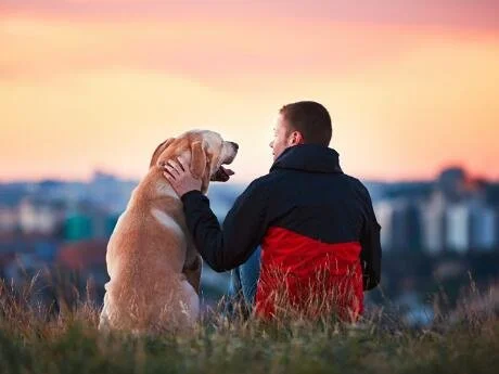 Why Body Language Matters in Trainng