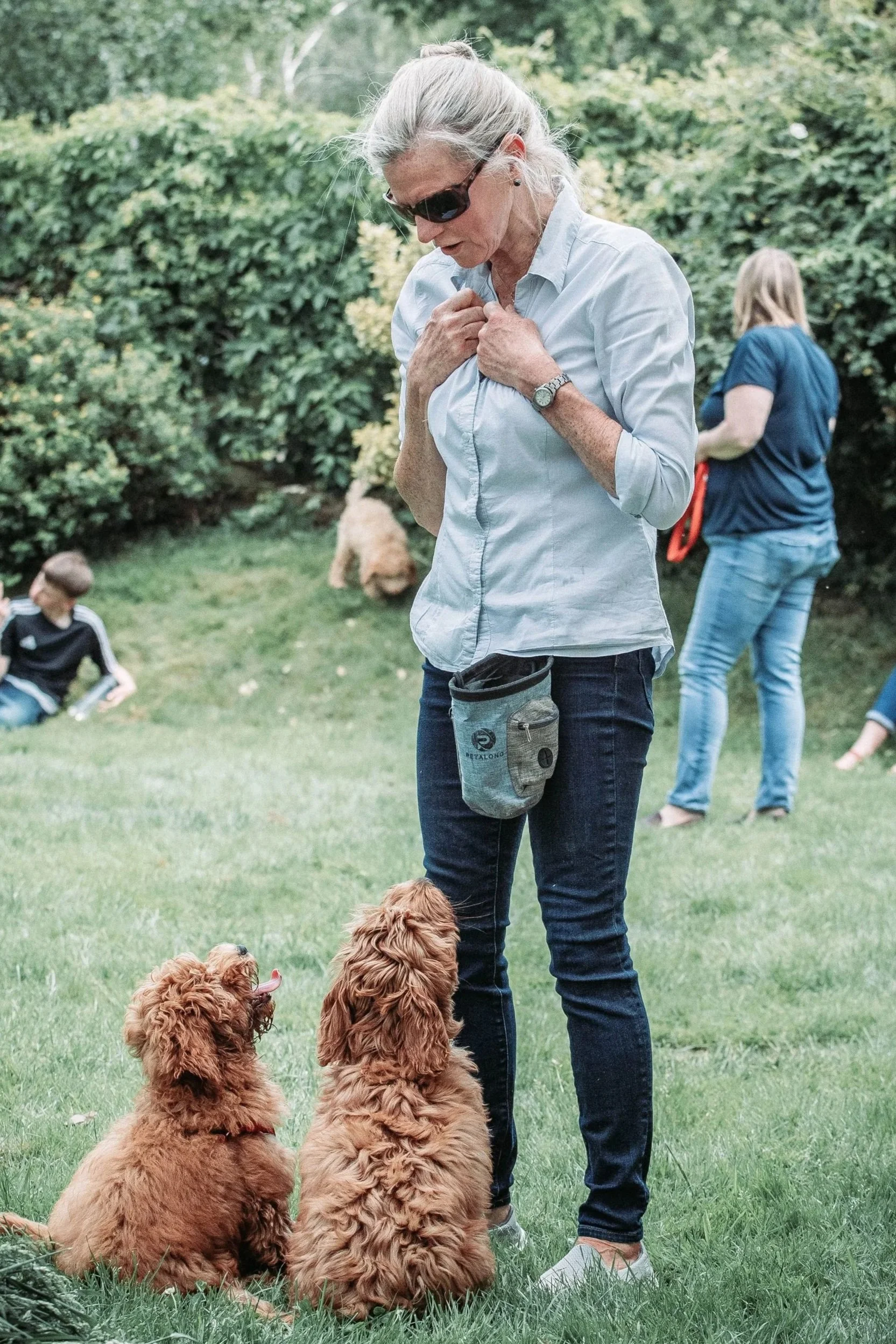 Should we use food in training