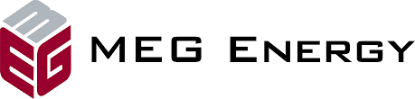 MEG.png