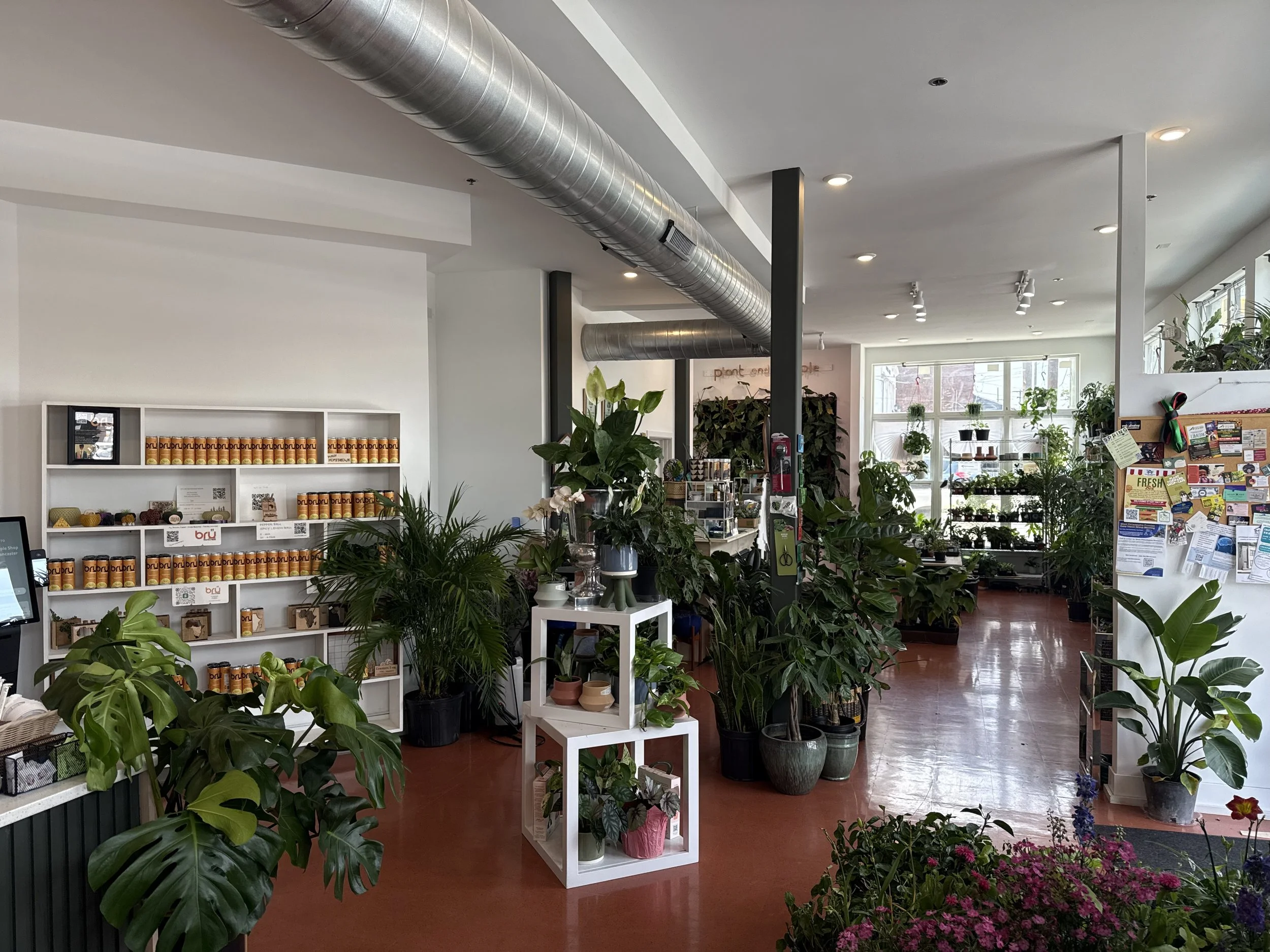 Plant and People Interiors.jpeg