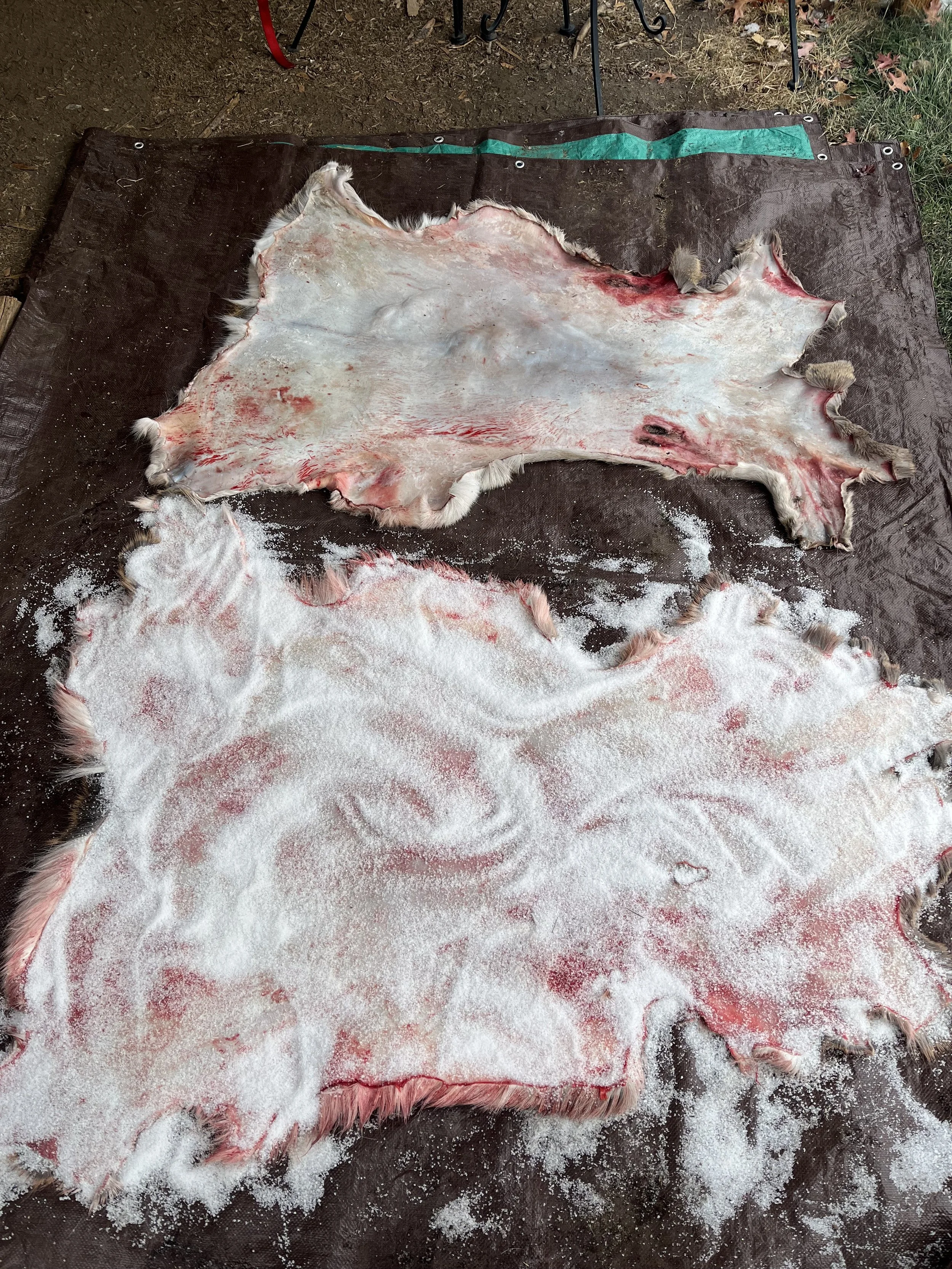 Fleshing and Hide Preparation Workshop - Sat, Nov 22, 1-5pm