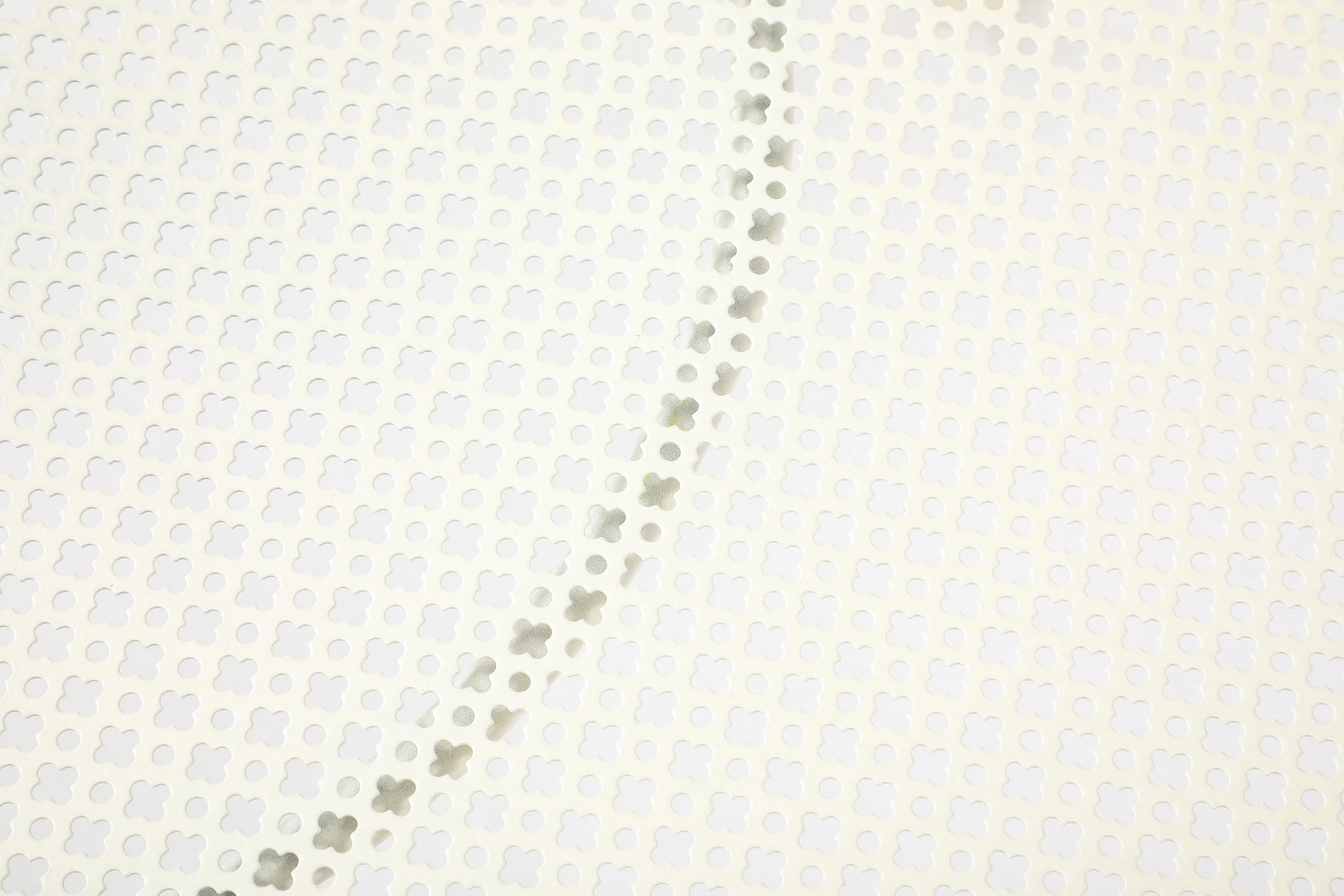 2P6A8145.jpg