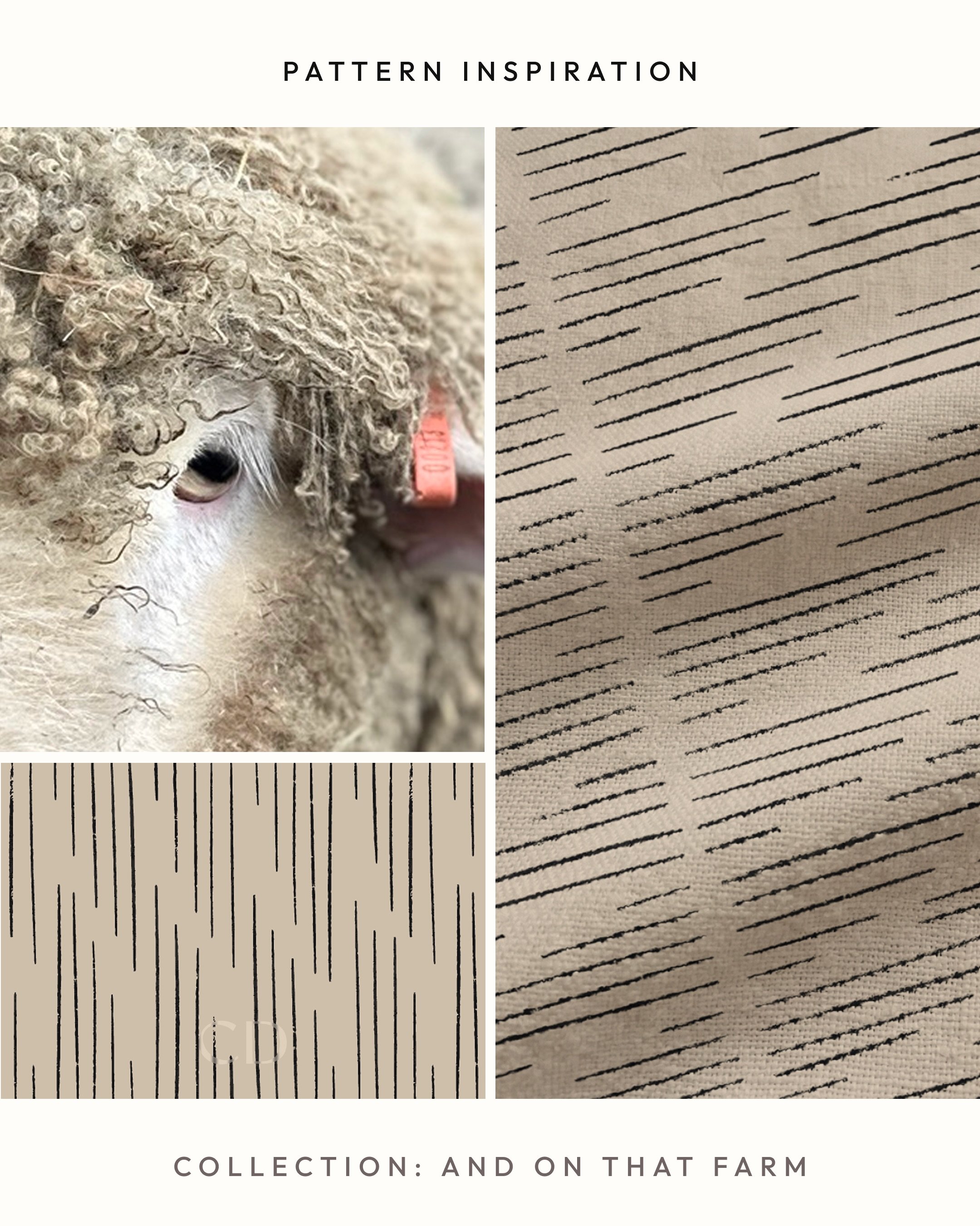 His eyes were asking for attention. The progression in lash size that formed a natural slope, the delicacy of them compared to his matted coat &mdash; I knew at first sight they were going to influence a pattern. It was a lot less romantic in the mom