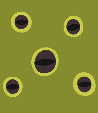 Cropped avocado green pattern with abstract frog eyes in dark contrasting tones and subtle texture