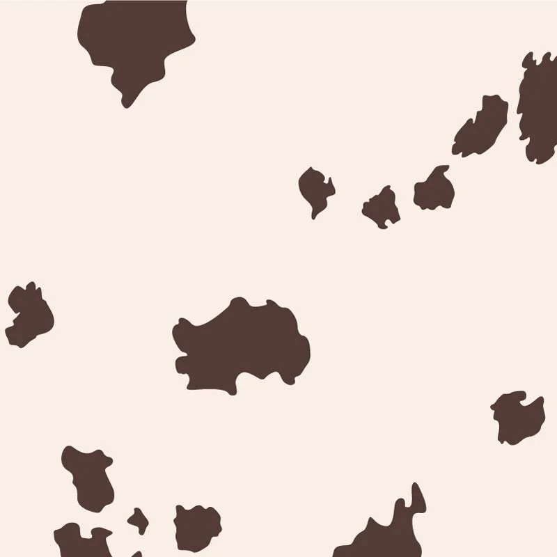Brown Cow - P23-A62