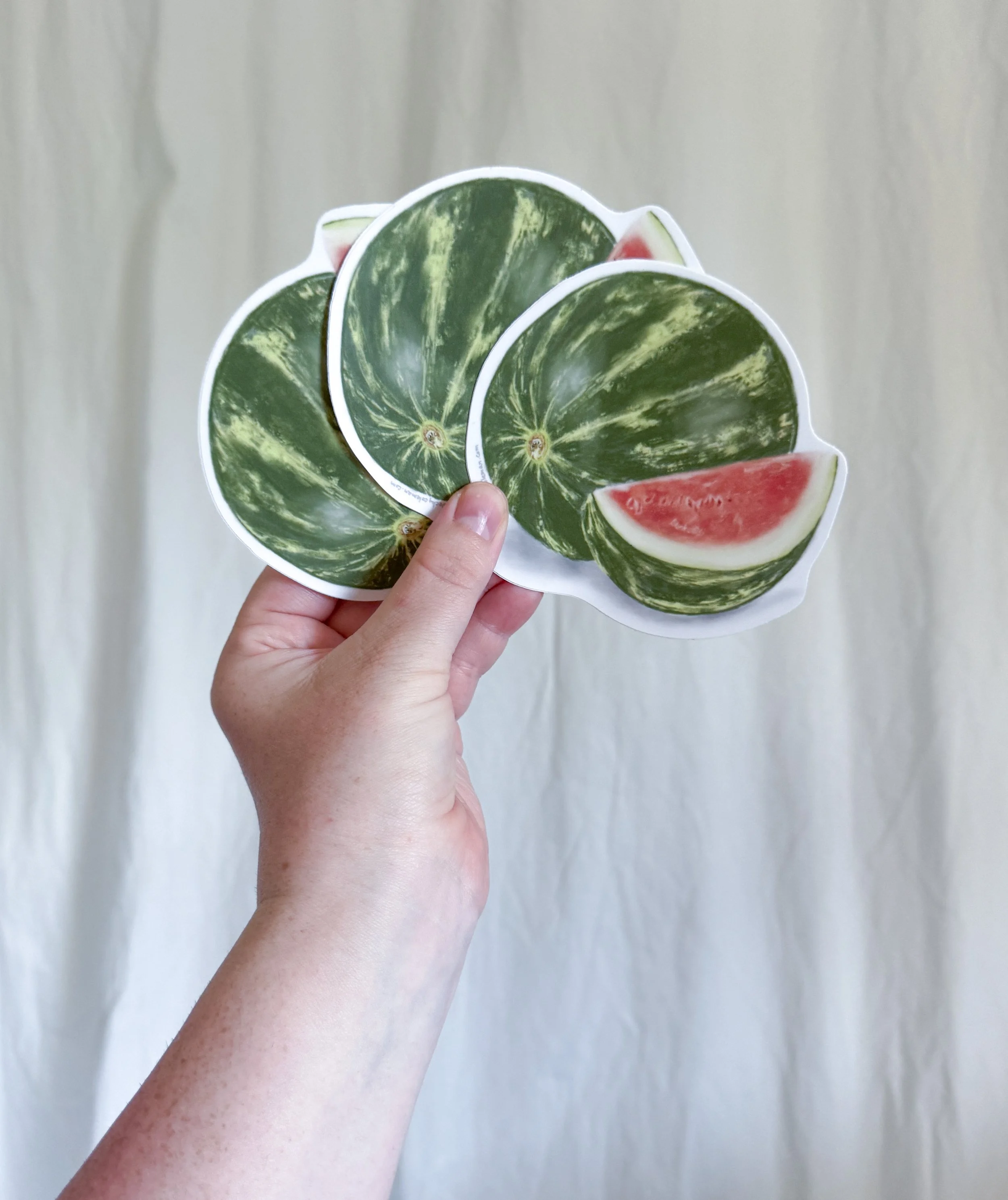 IMG_8465.jpg