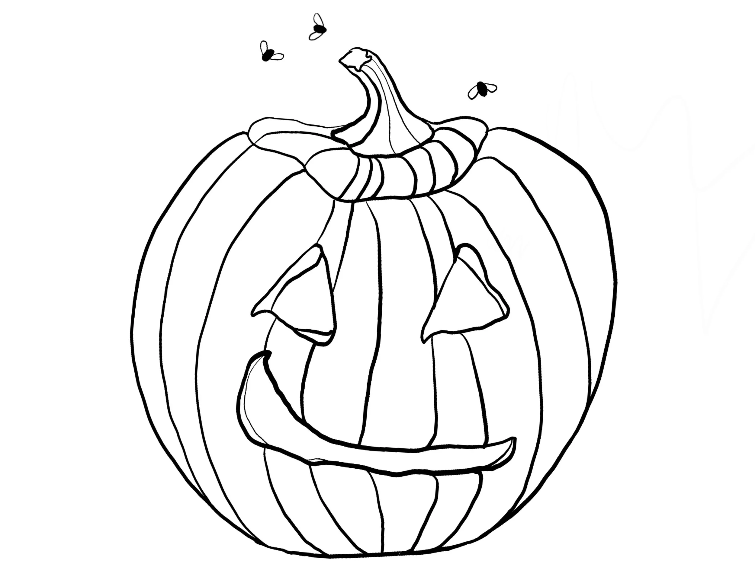 OCT '24
