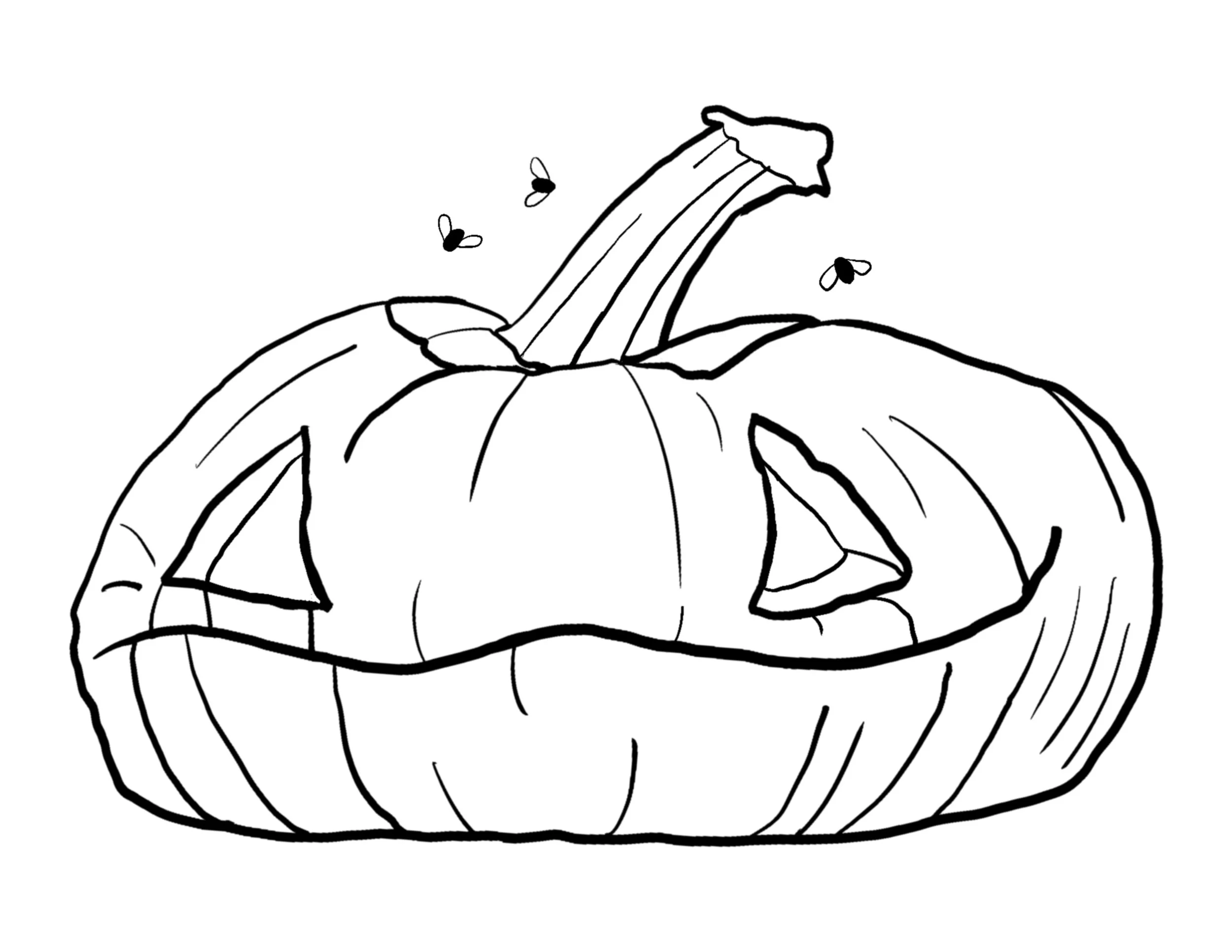 OCT '24