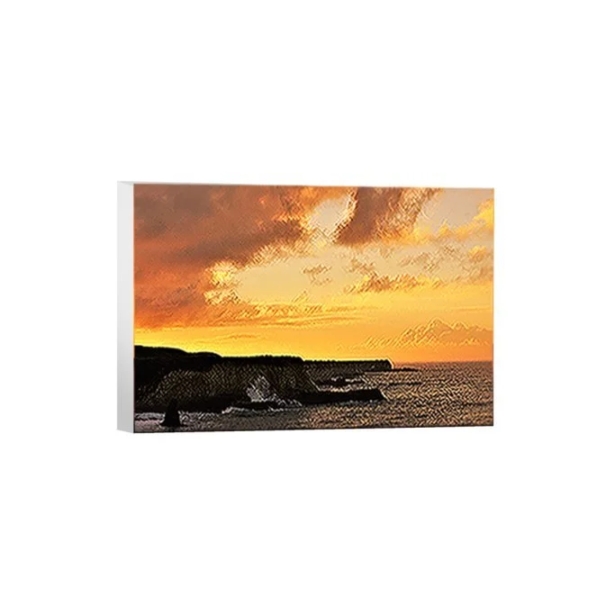 16x24 DS.jpg
