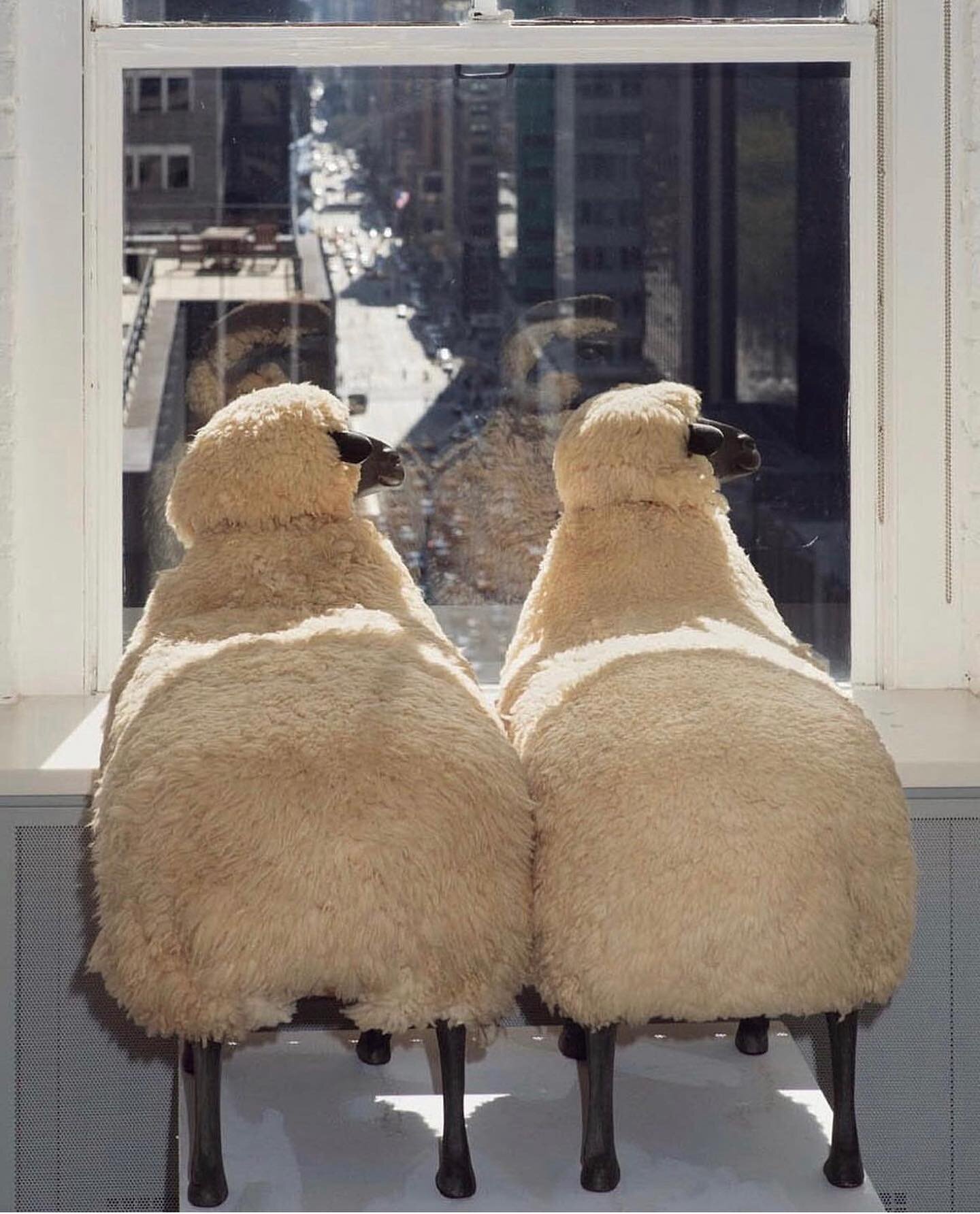 Monday Morning Chit-Chat 🐑🐑 #ContemporaryCreatives
.
.
.
.
Image via Getty #francoisxavierlalanne #sheep #sculpture #modern #modernart #lalanne #inspired #mydomaine #contemporaryart #sculptures #archdigest #monday #mondaymotivation #mondaymood #mon