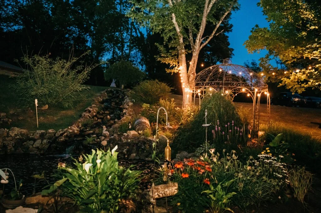 plants in landscape with twinking lights strung at dusk