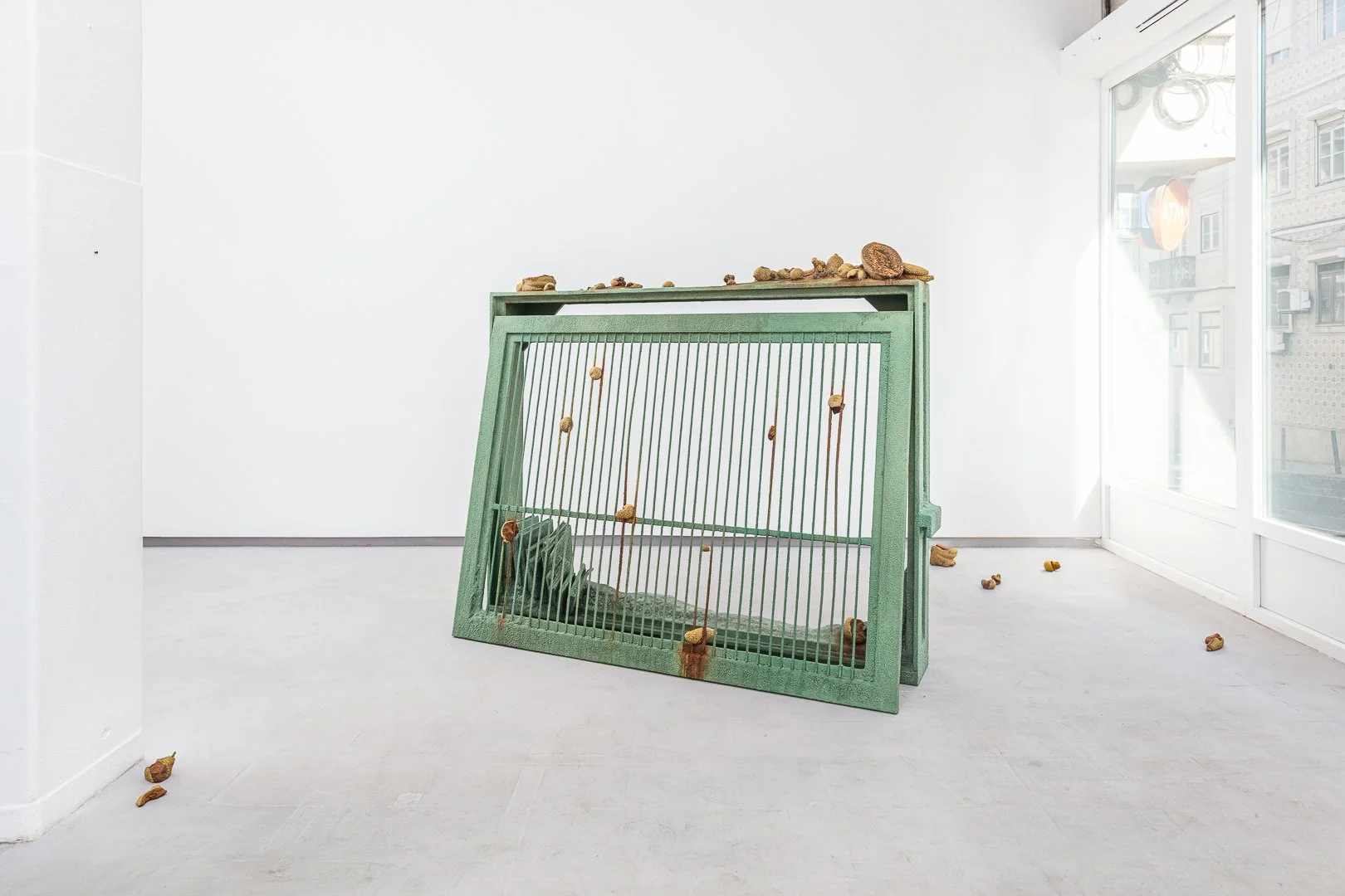 TIAGO ROCHA COSTA / Tropical vanitas, 2025