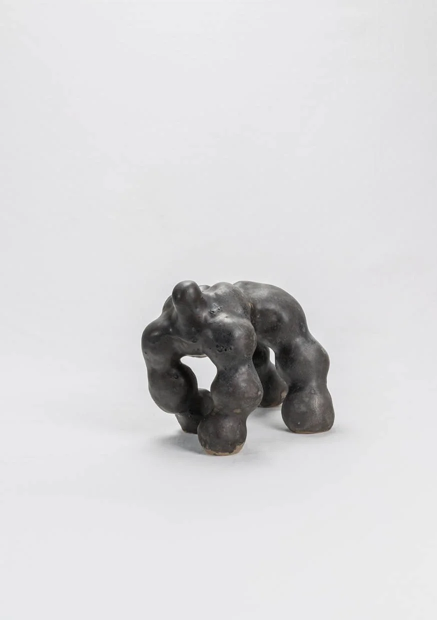 DYLAN SILVA
Primal, 2026
Escultura em terracota com vidrado preto | Terracotta sculpture with black glaze | 23x22x14cm