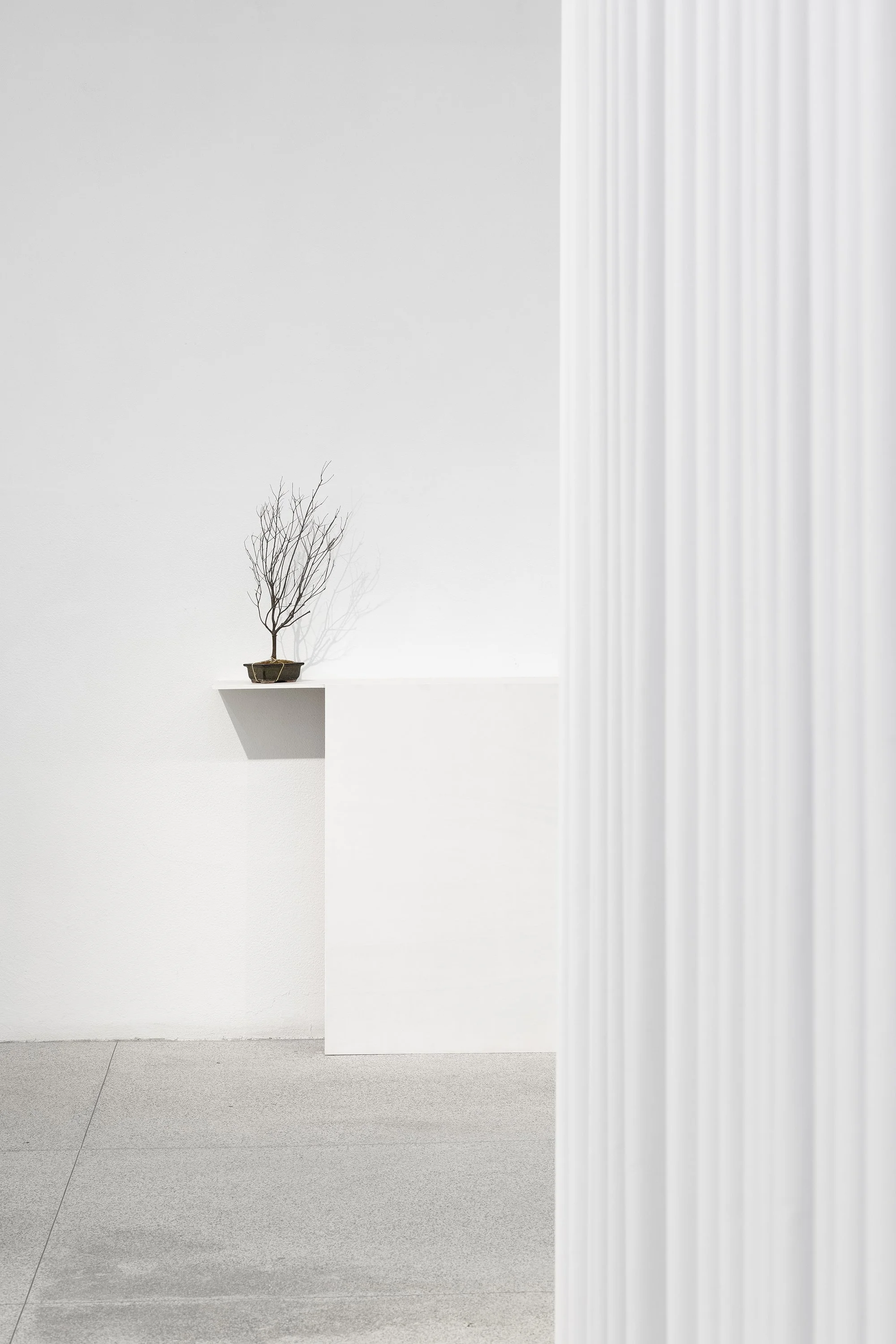 ANDRÉ VAZ | Nada de novo sobre o solo, 2026