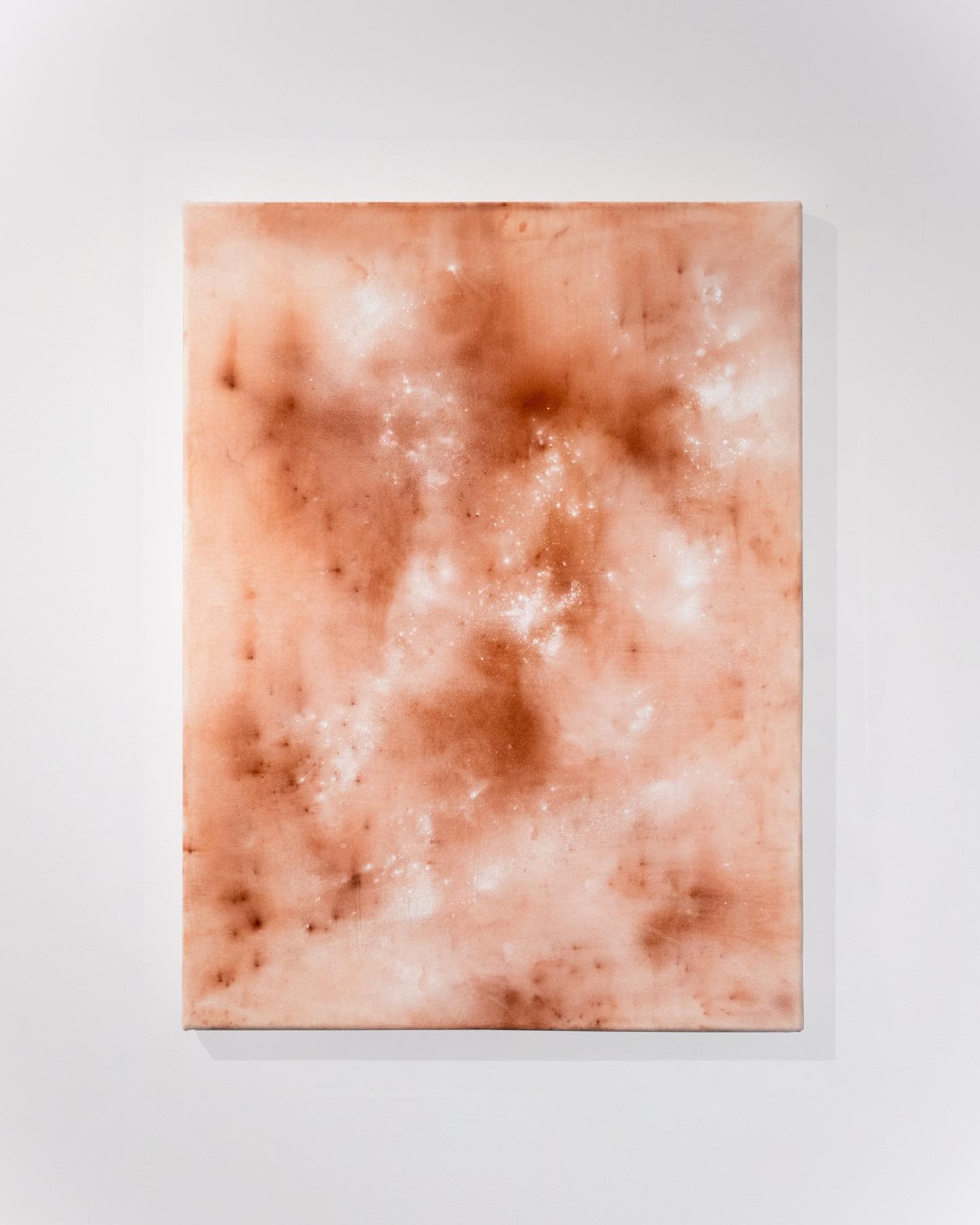 MANUEL TAINHA @manueltainha 
Flair, 2024
Pigment, lime and copper powder on velvet
80 x 60cm
More info on request 

&lsquo;ABALO&rsquo;, by @manueltainha and @matildetravassos 

The inevitable finiteness of being and things, and the obsession with th