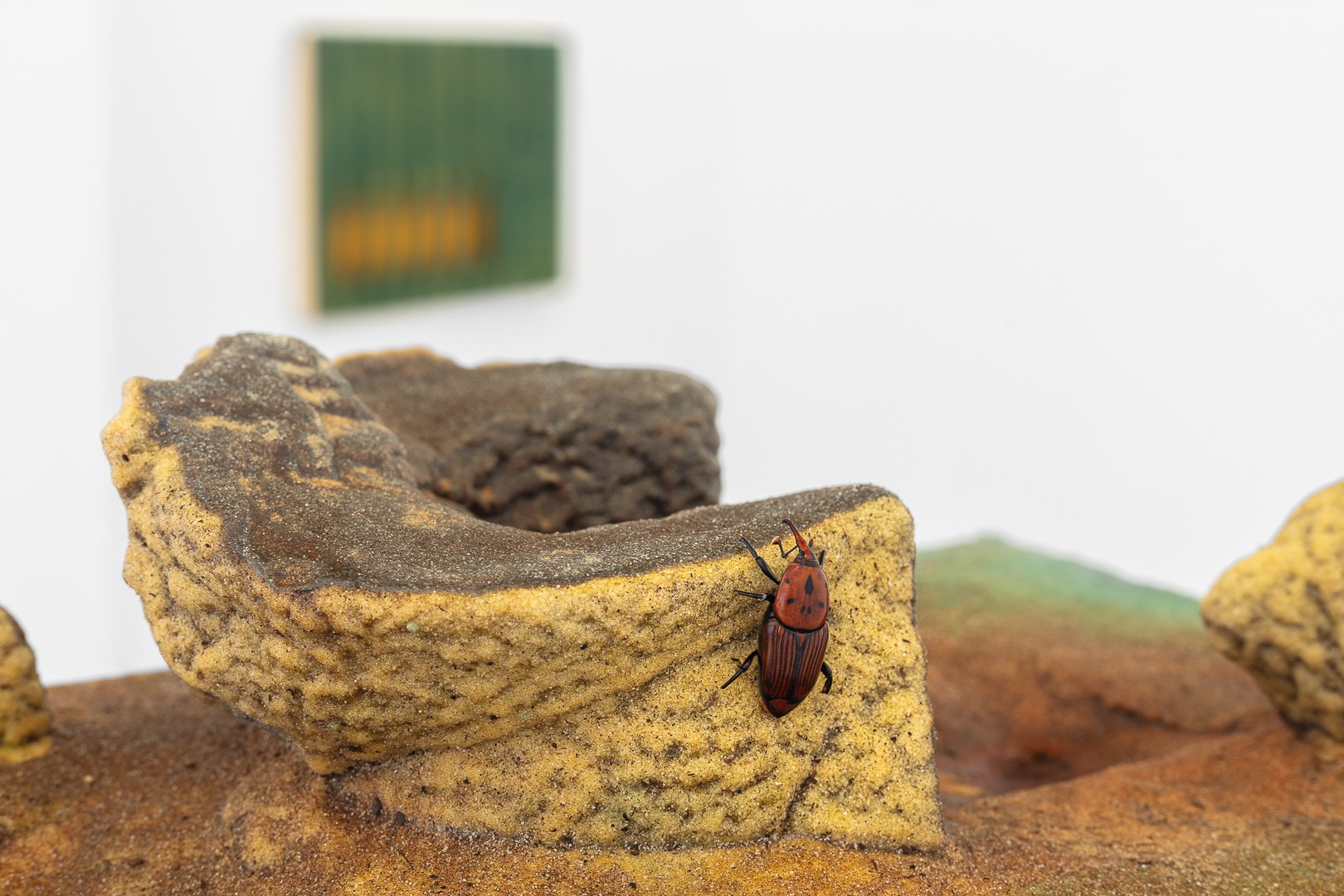 TIAGO ROCHA COSTA / Tropical vanitas, 2025