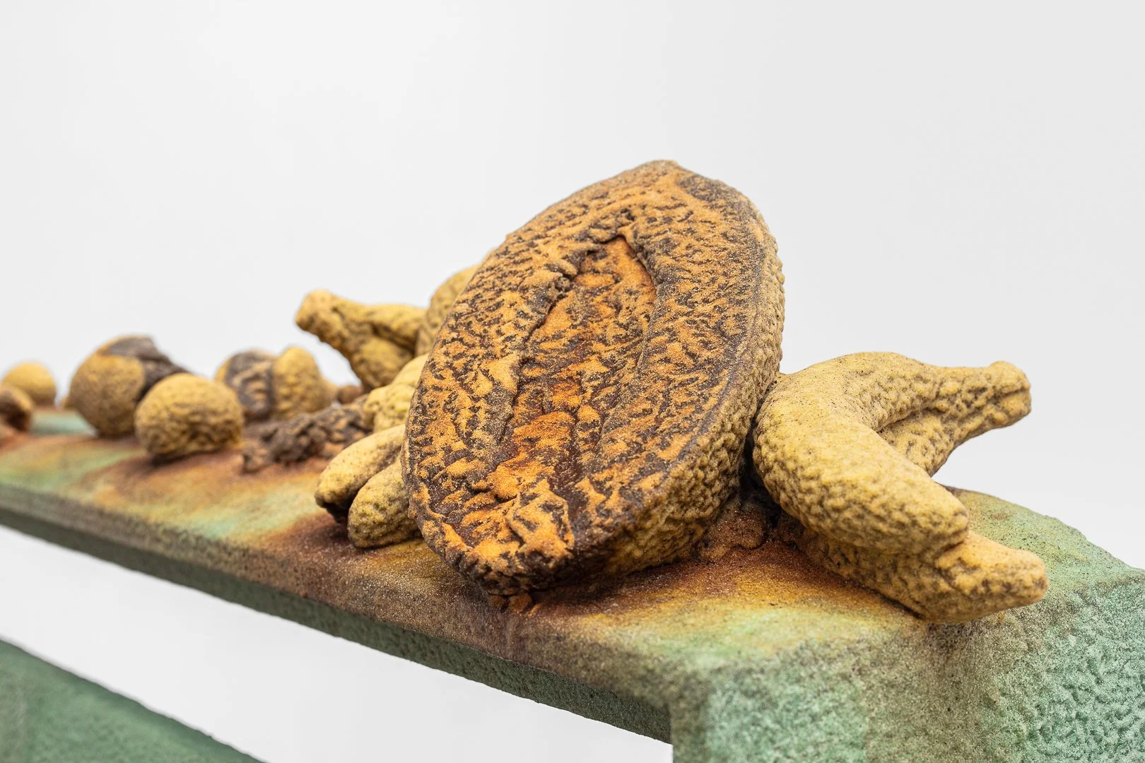 TIAGO ROCHA COSTA / Tropical vanitas, 2025