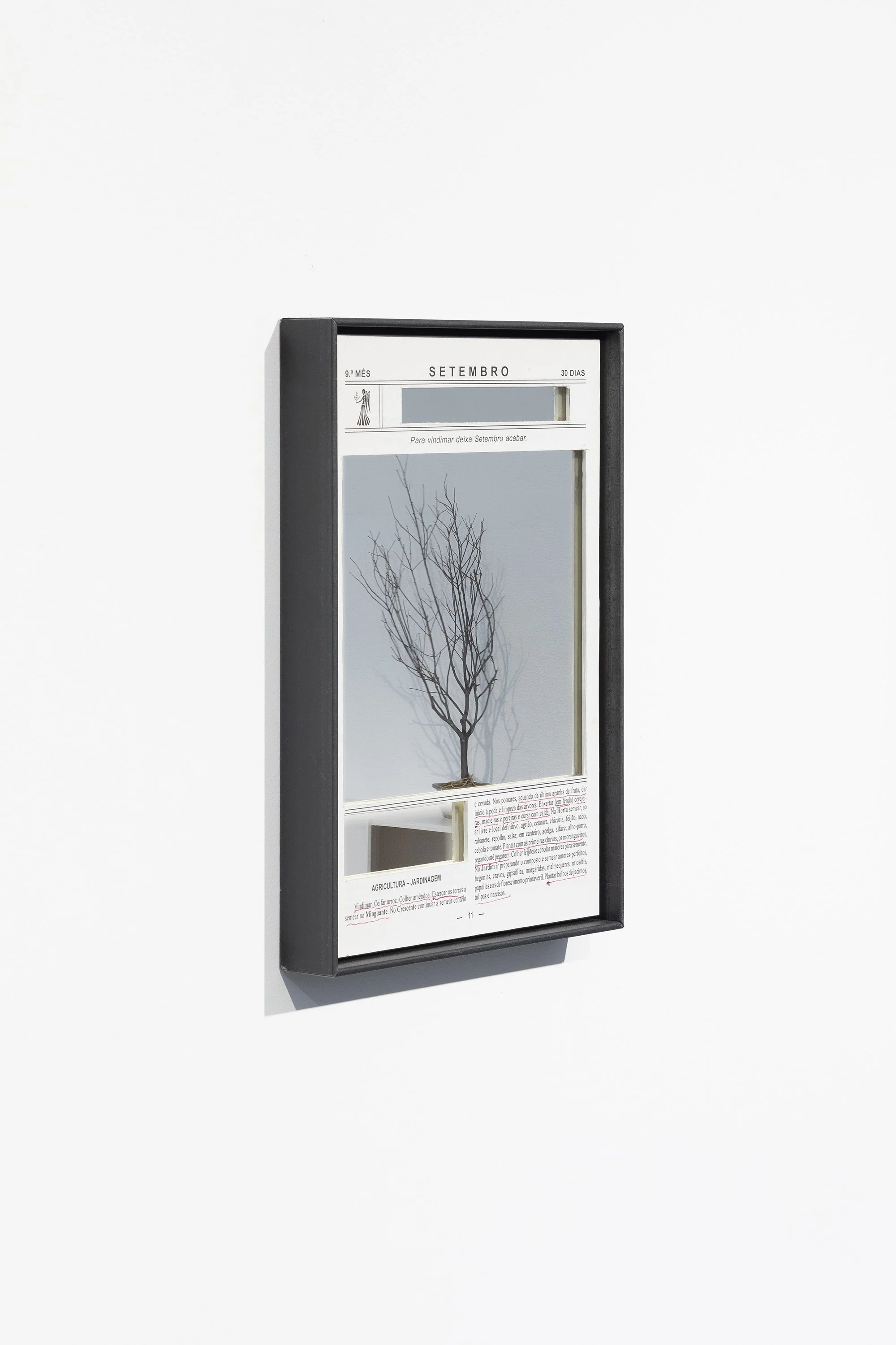 ANDRÉ VAZ | Nada de novo sobre o solo, 2026