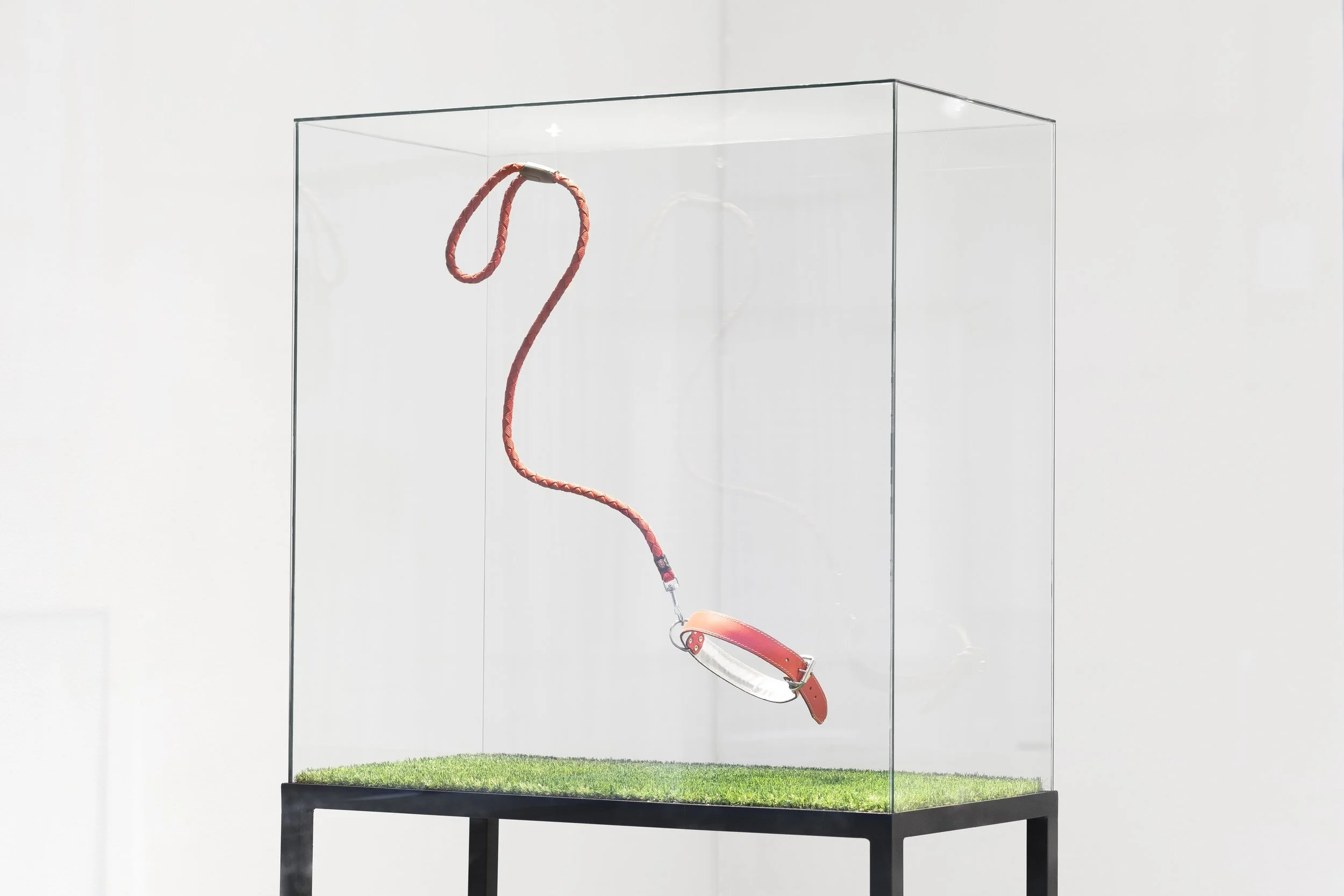 A leveza de ser (invisível) (Fábio Araújo)