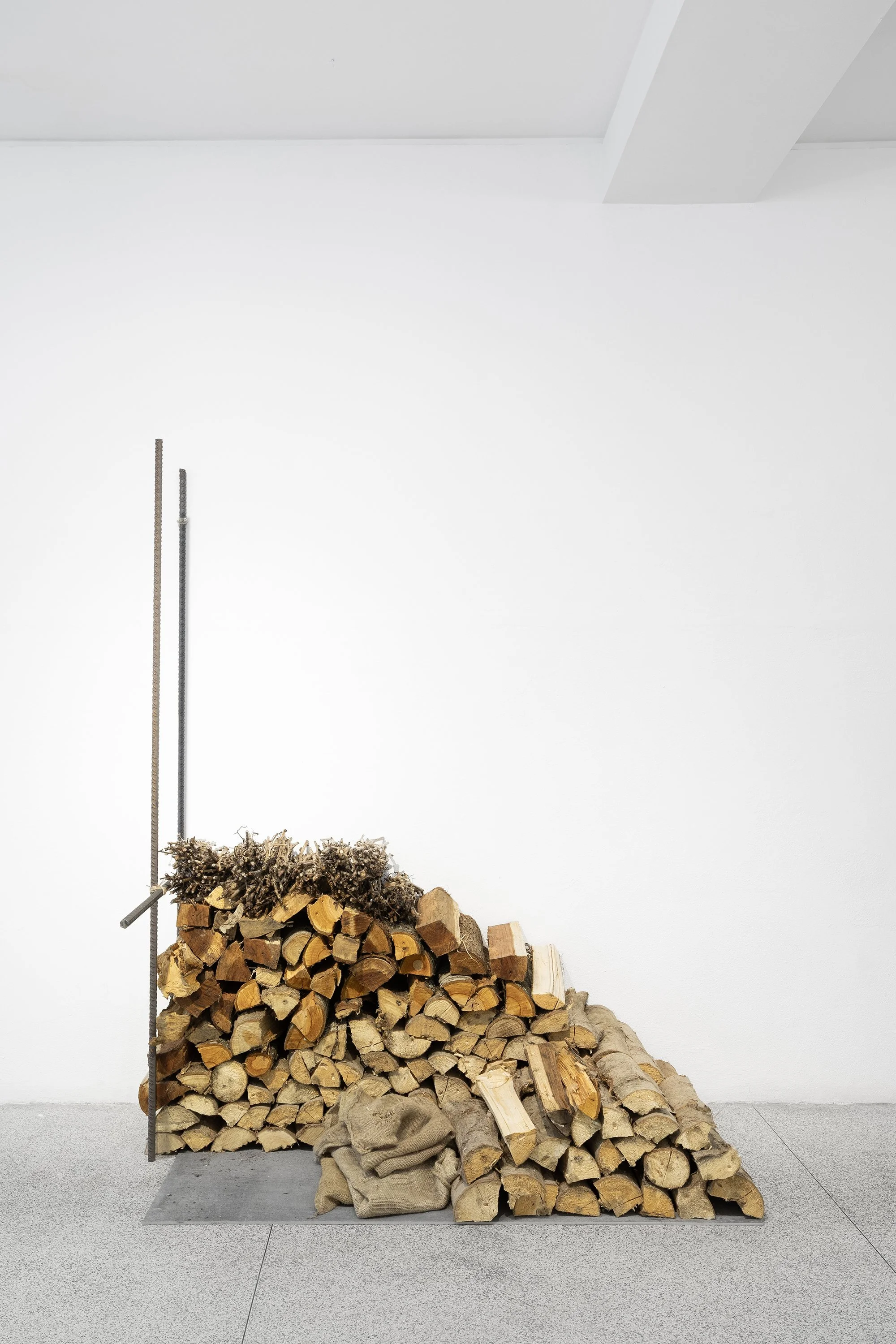 ANDRÉ VAZ | Nada de novo sobre o solo, 2026