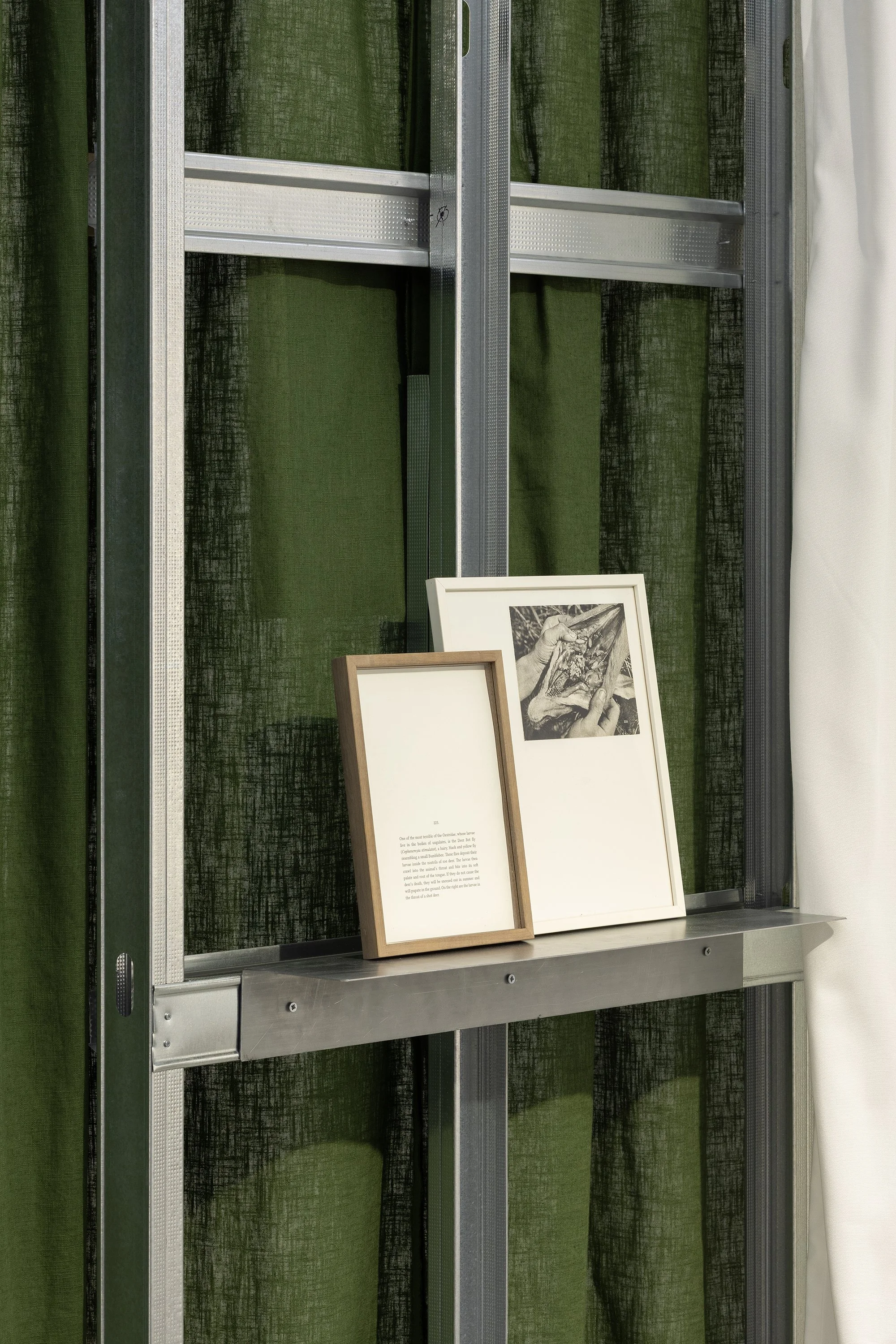 ANDRÉ VAZ | Nada de novo sobre o solo, 2026