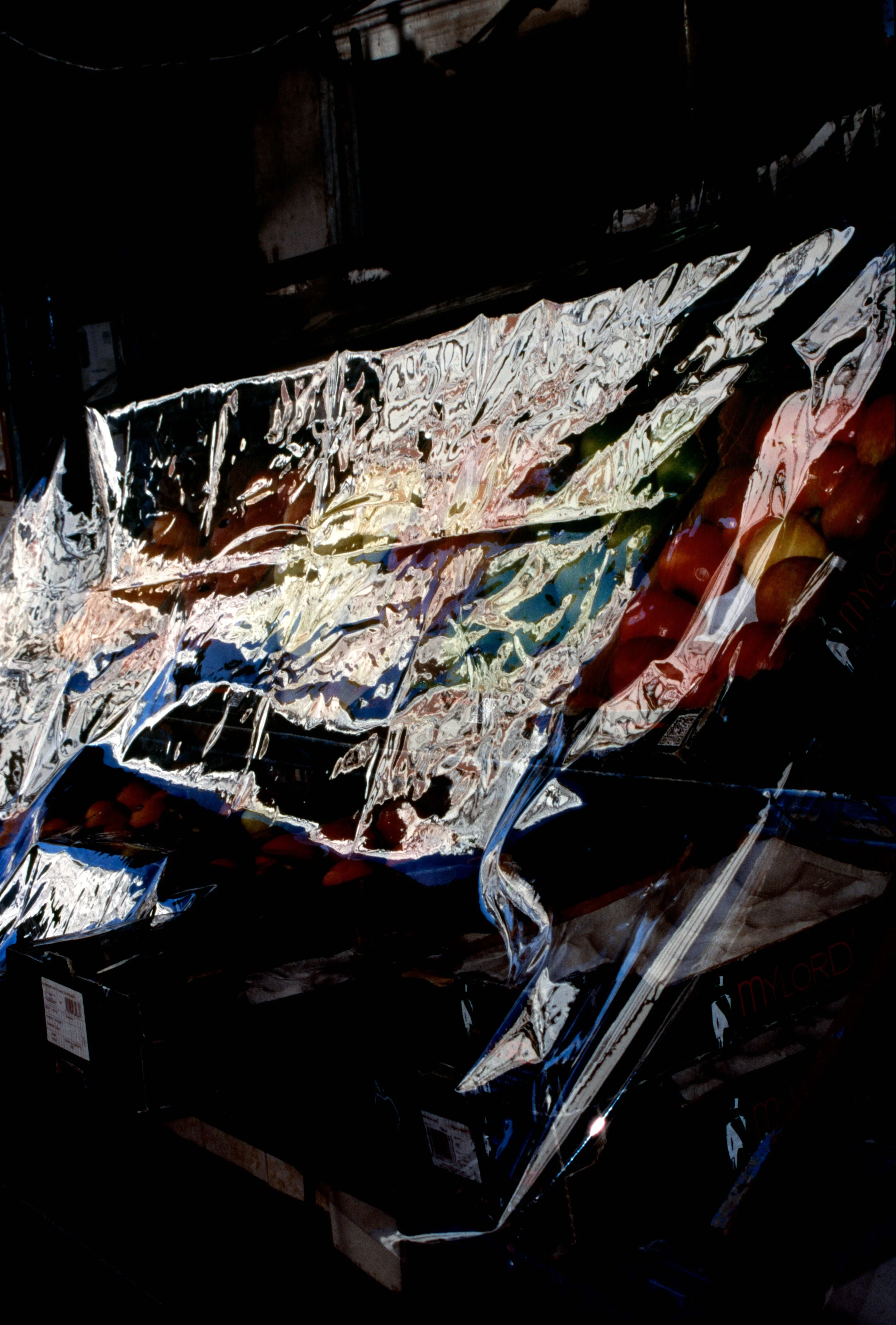 BEATRIZ BANHA | Mitologias