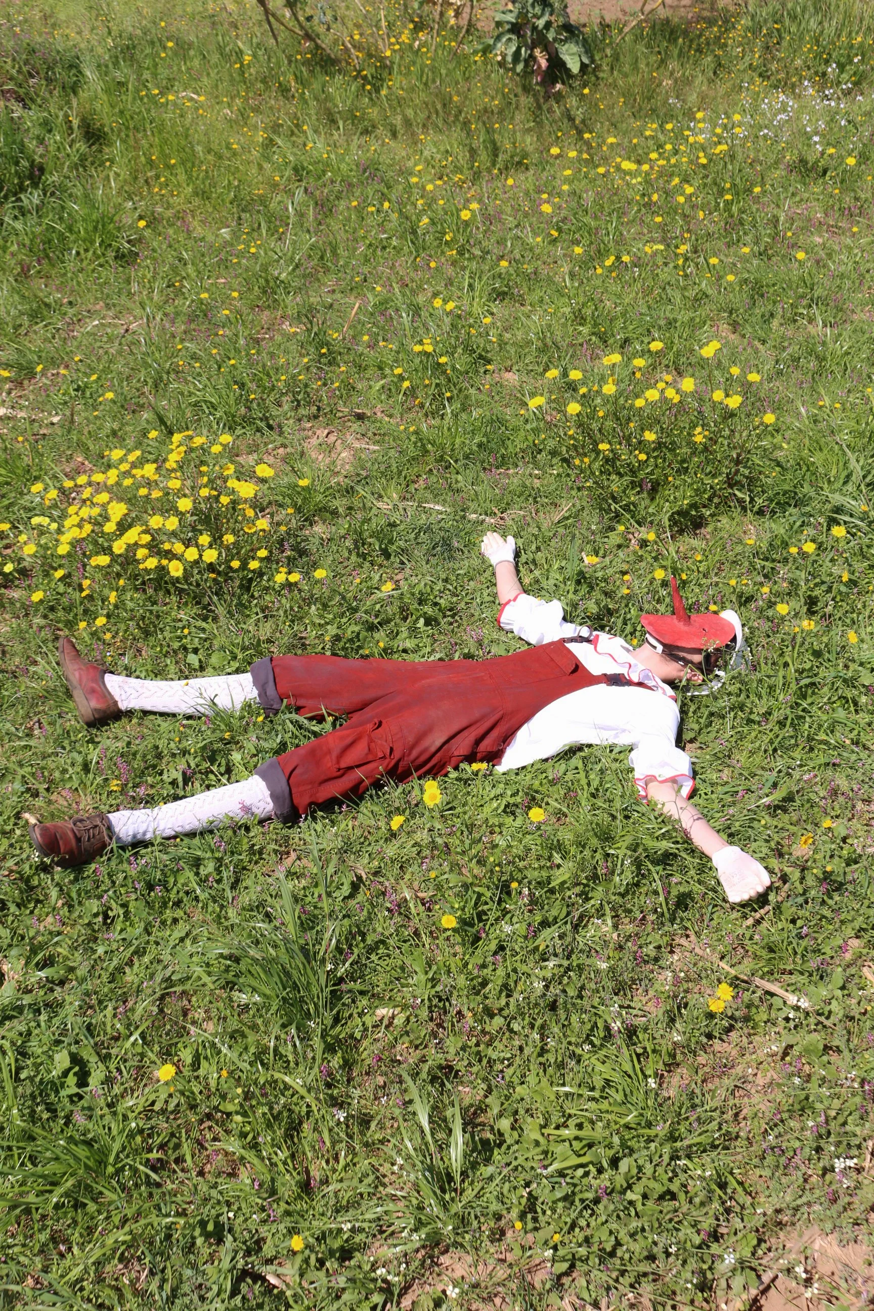 Leve, breve, suave.jpg