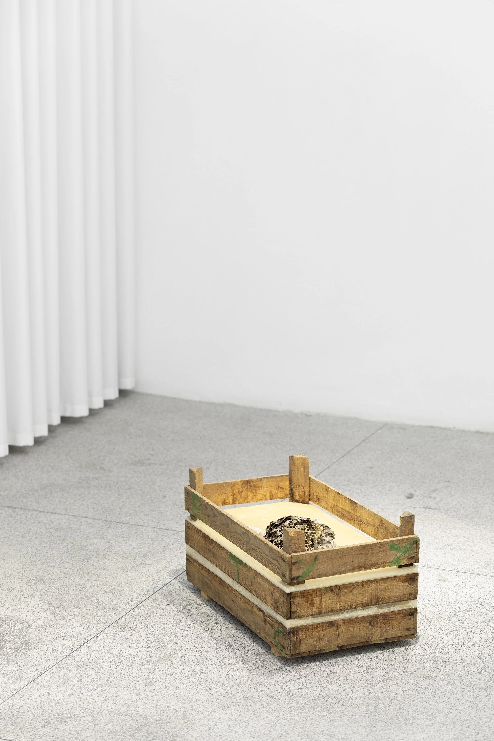 ANDRÉ VAZ | Nada de novo sobre o solo, 2026