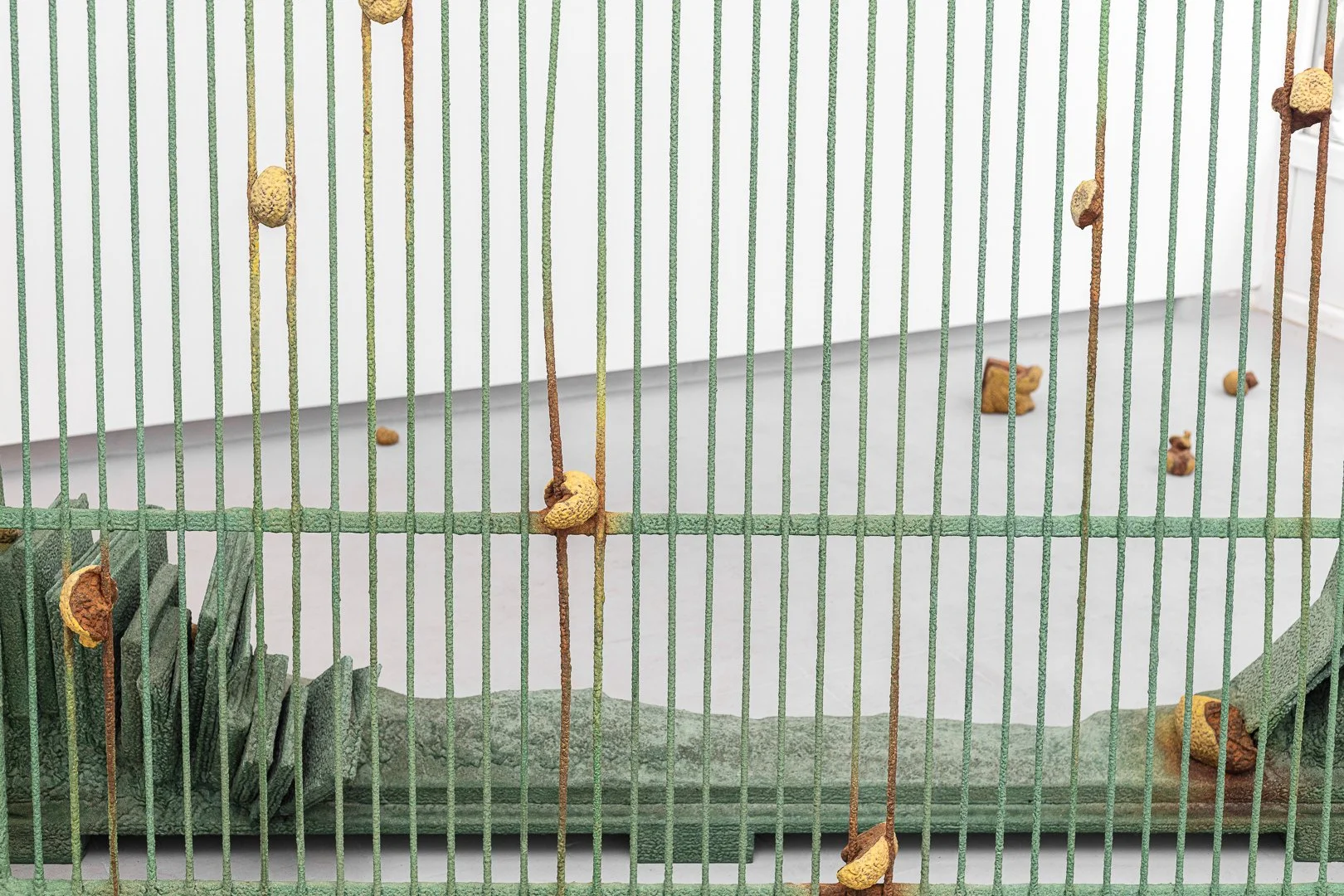 TIAGO ROCHA COSTA / Tropical vanitas, 2025