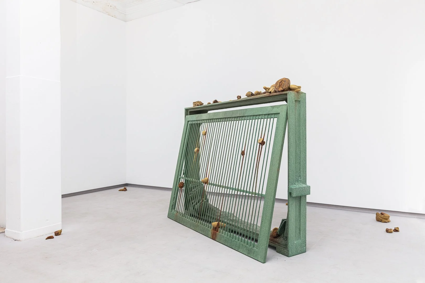 Tropical Vanitas (Tiago Rocha Costa)