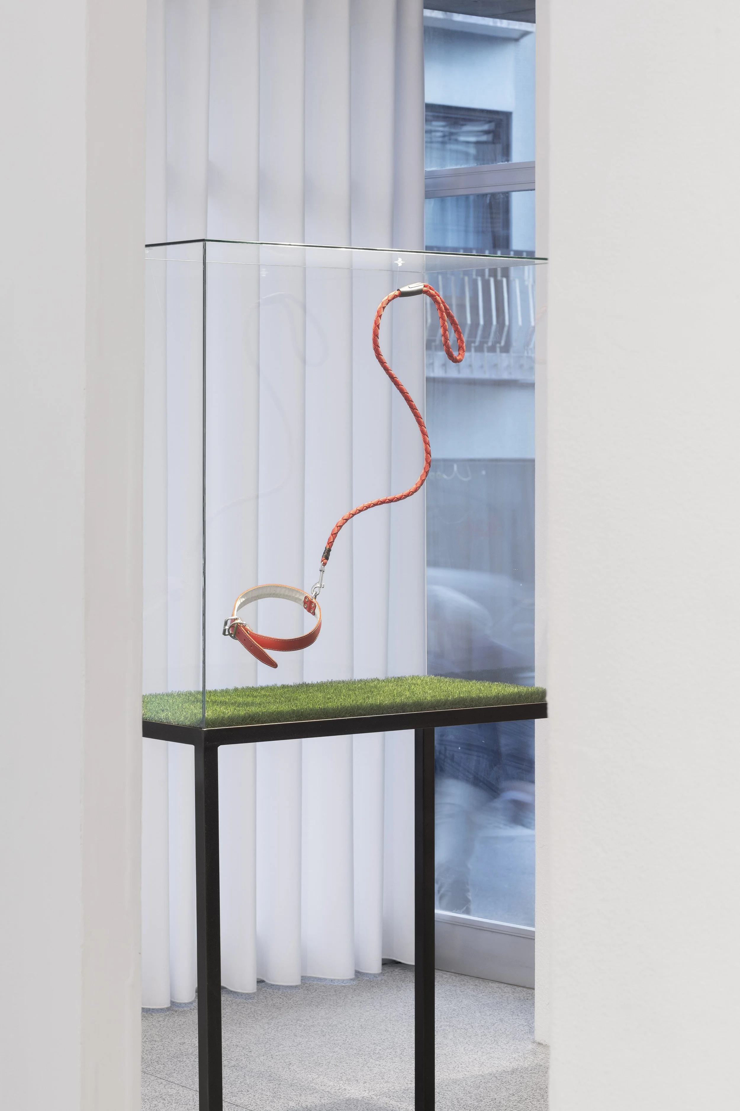 FÁBIO ARAÚJO | A leveza de ser (invisível) 