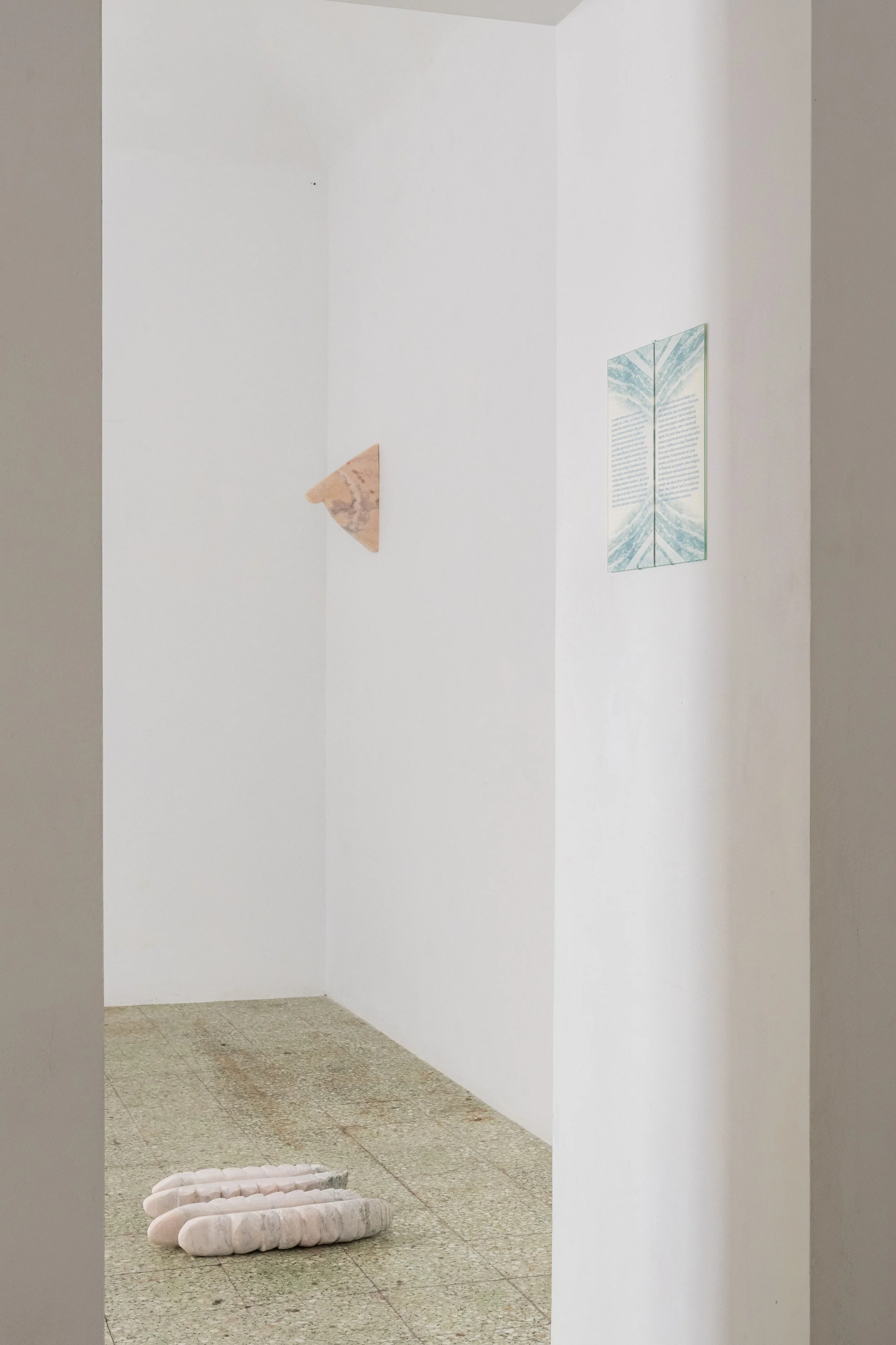 Ossa | Isabel Carvalho
