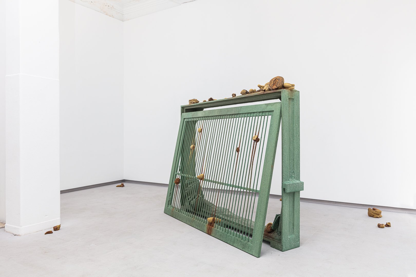 TIAGO ROCHA COSTA / Tropical vanitas, 2025