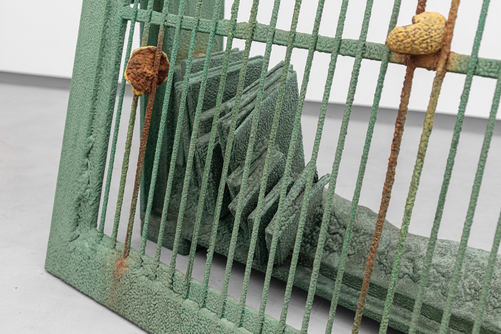 TIAGO ROCHA COSTA / Tropical vanitas, 2025