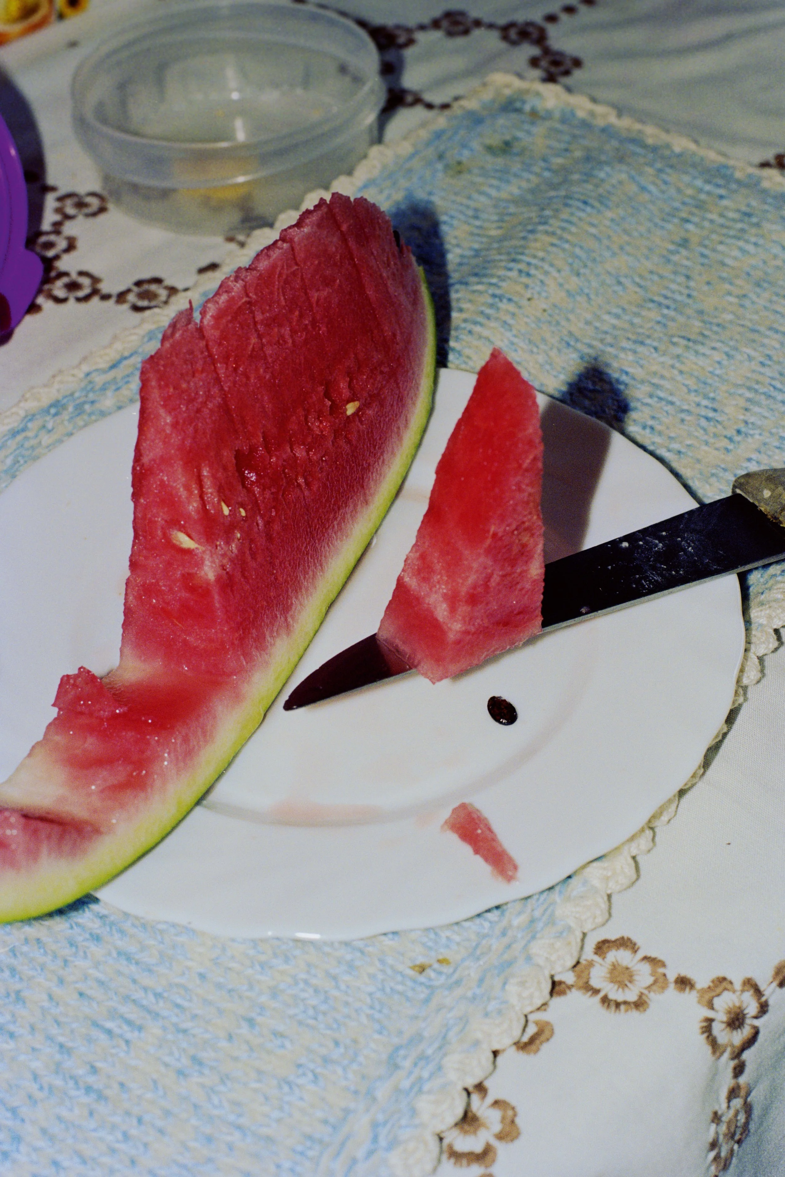 BEATRIZ BANHA | Mitologias