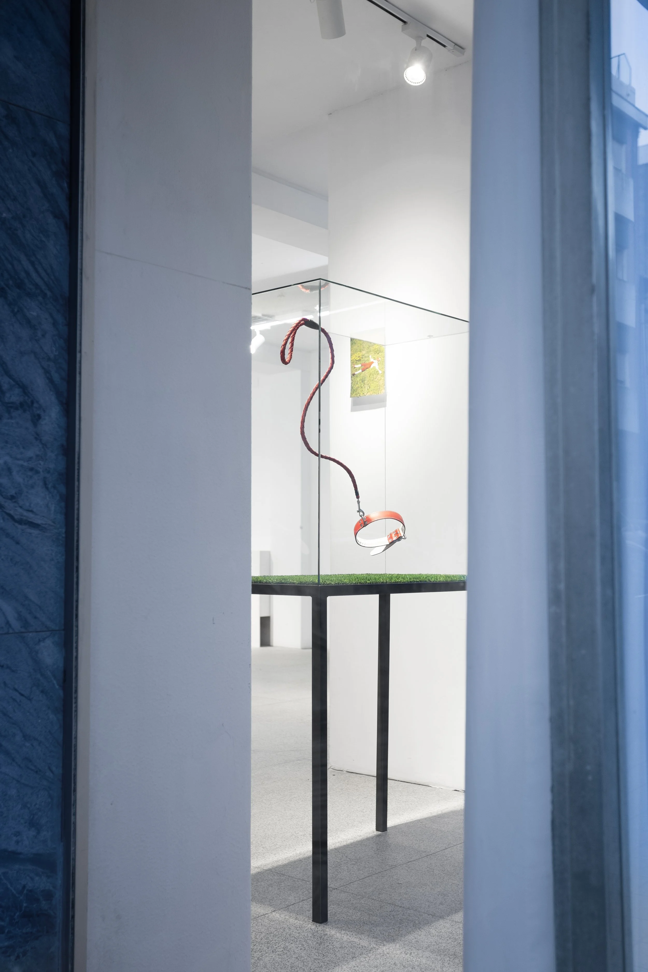 FÁBIO ARAÚJO | A leveza de ser (invisível) 