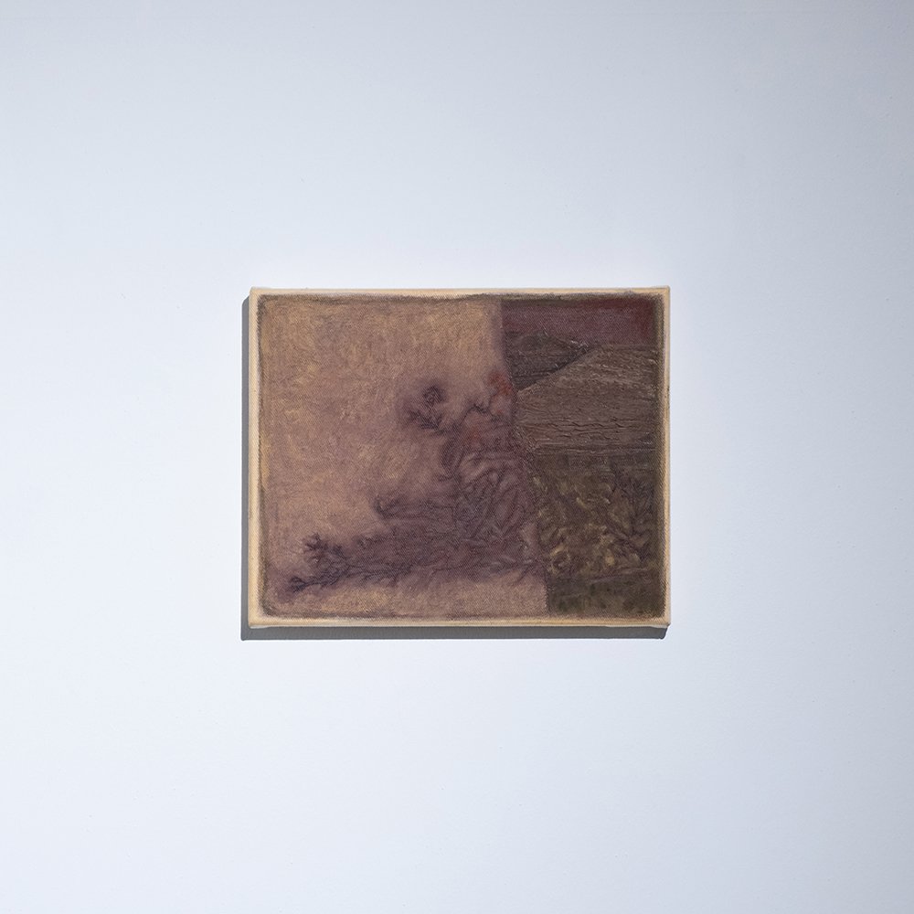 PEDRO LIÑARES / As flores do corredor, 2023 / Oil on canvas / 24 x 30 cm