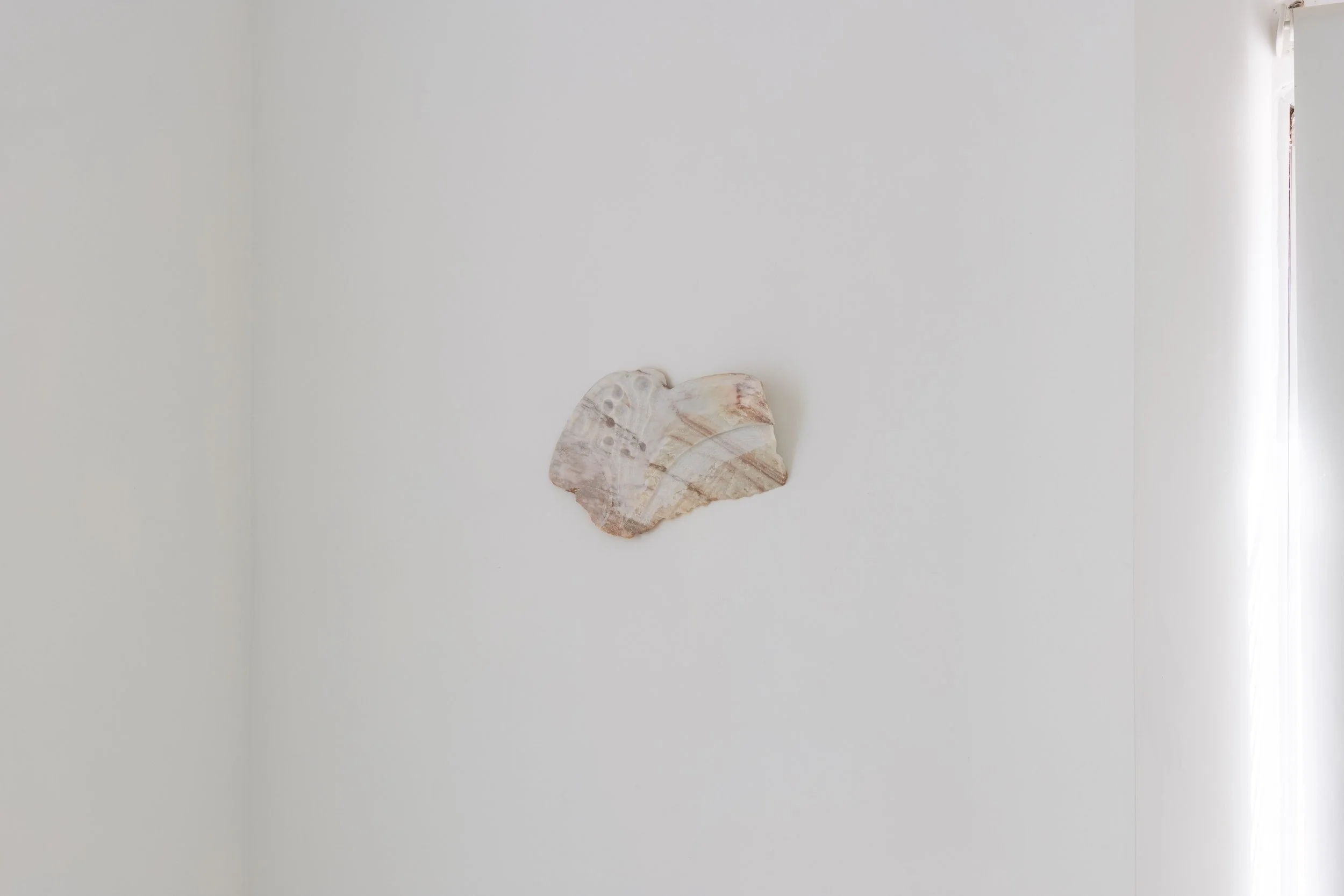 Ossa | Isabel Carvalho