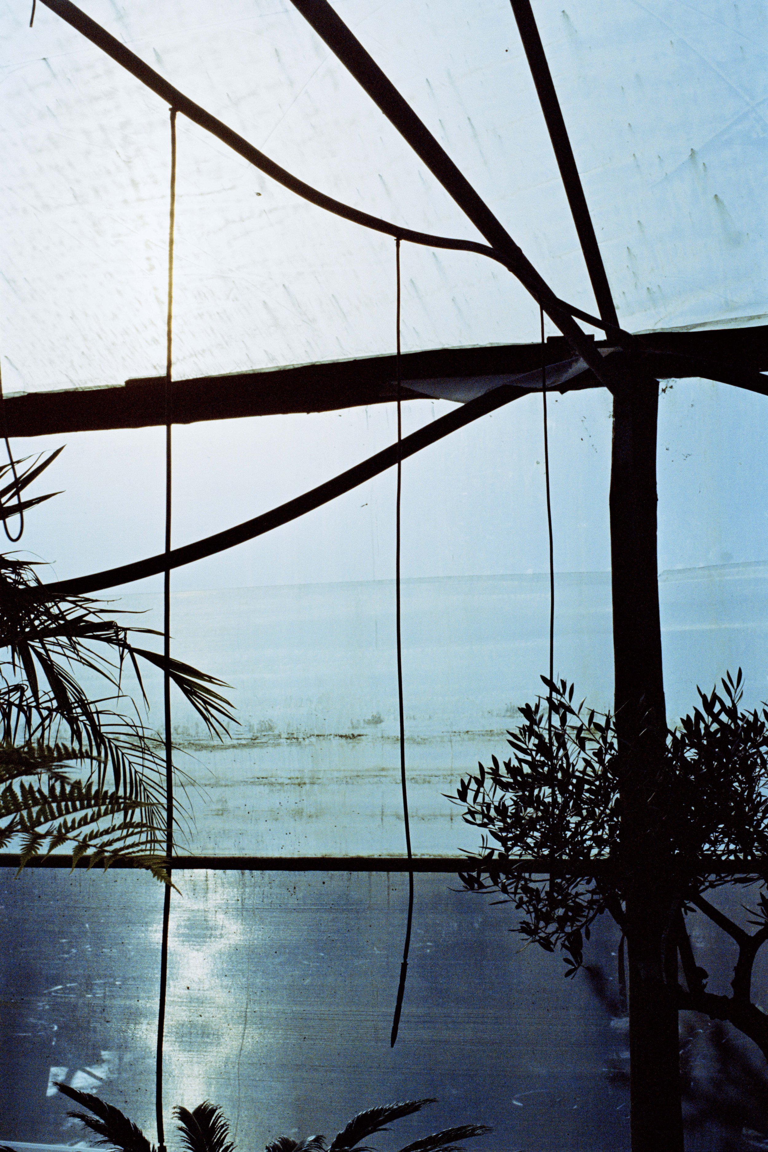 BEATRIZ BANHA | Mitologias