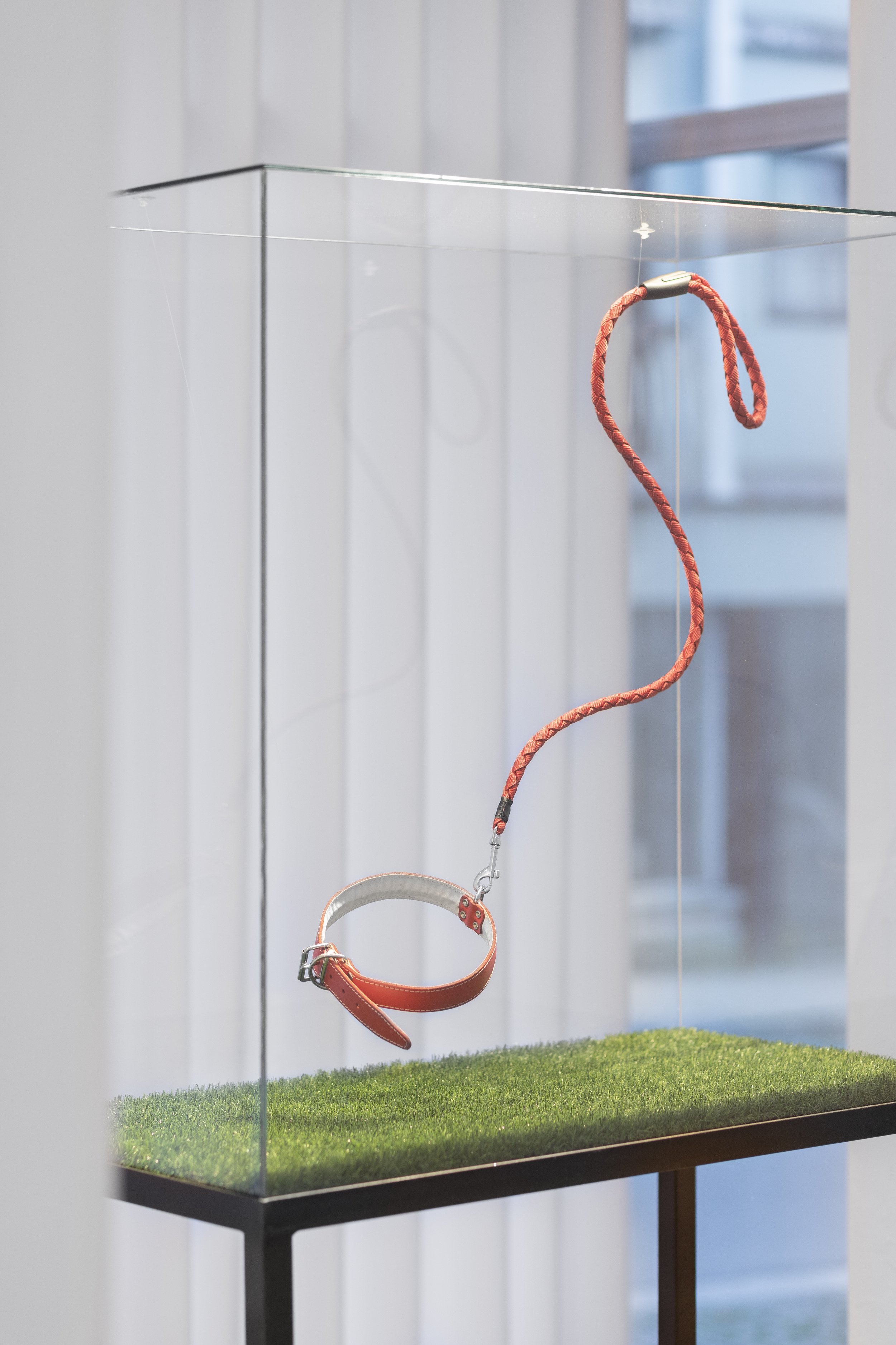 FÁBIO ARAÚJO | A leveza de ser (invisível) 