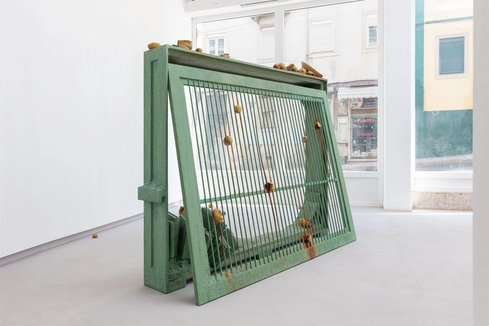 TIAGO ROCHA COSTA / Tropical vanitas, 2025