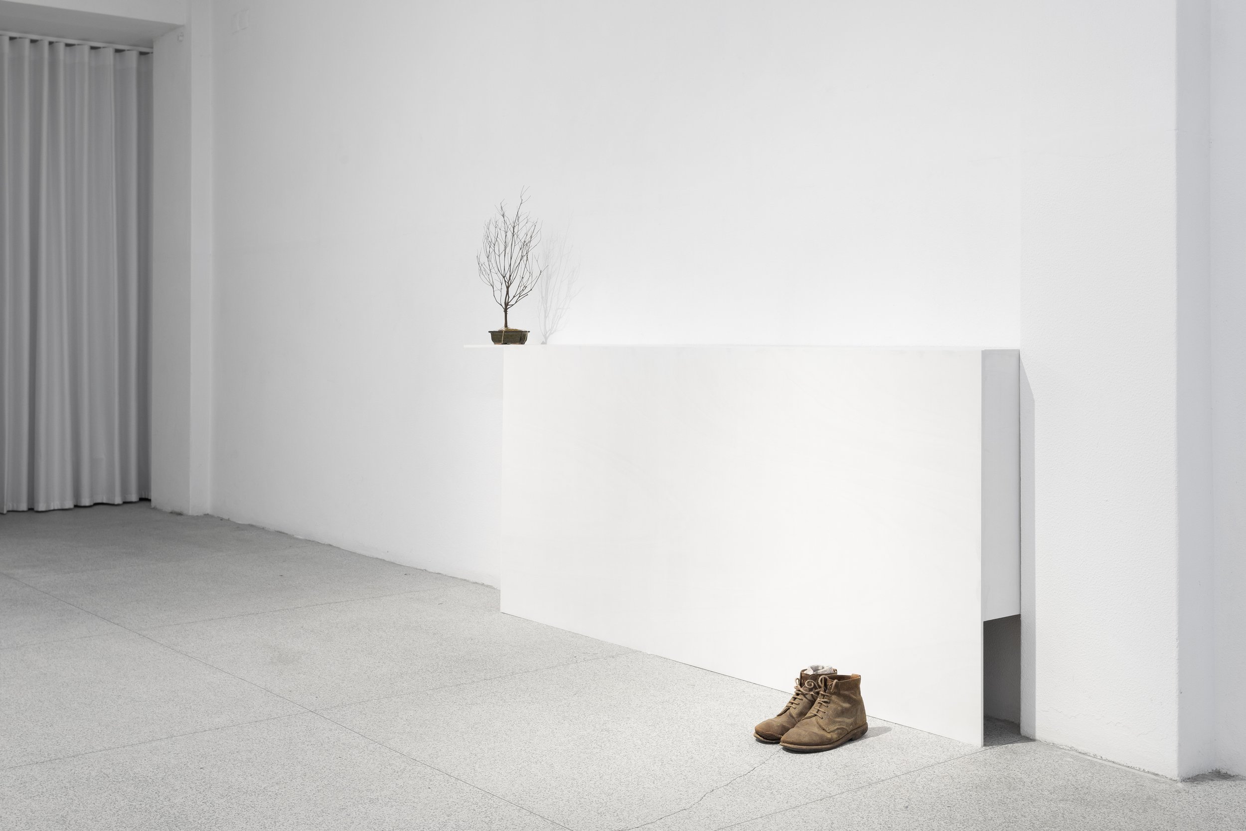 Nada de novo sobre o solo (André Vaz)