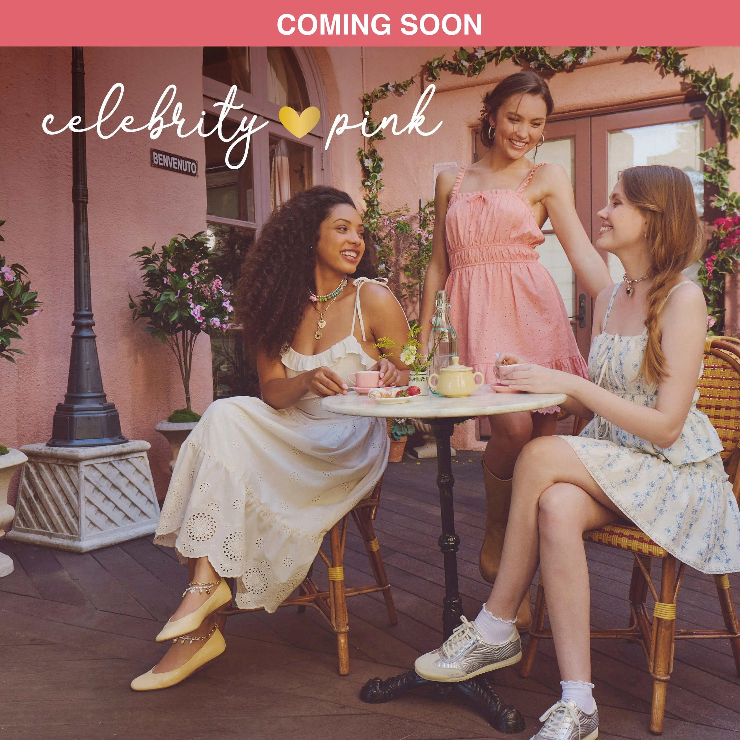 celebrity-pink-banner V1.jpg